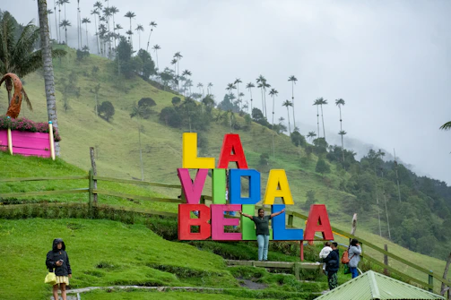 A group of people standing on top of a lush green hillside