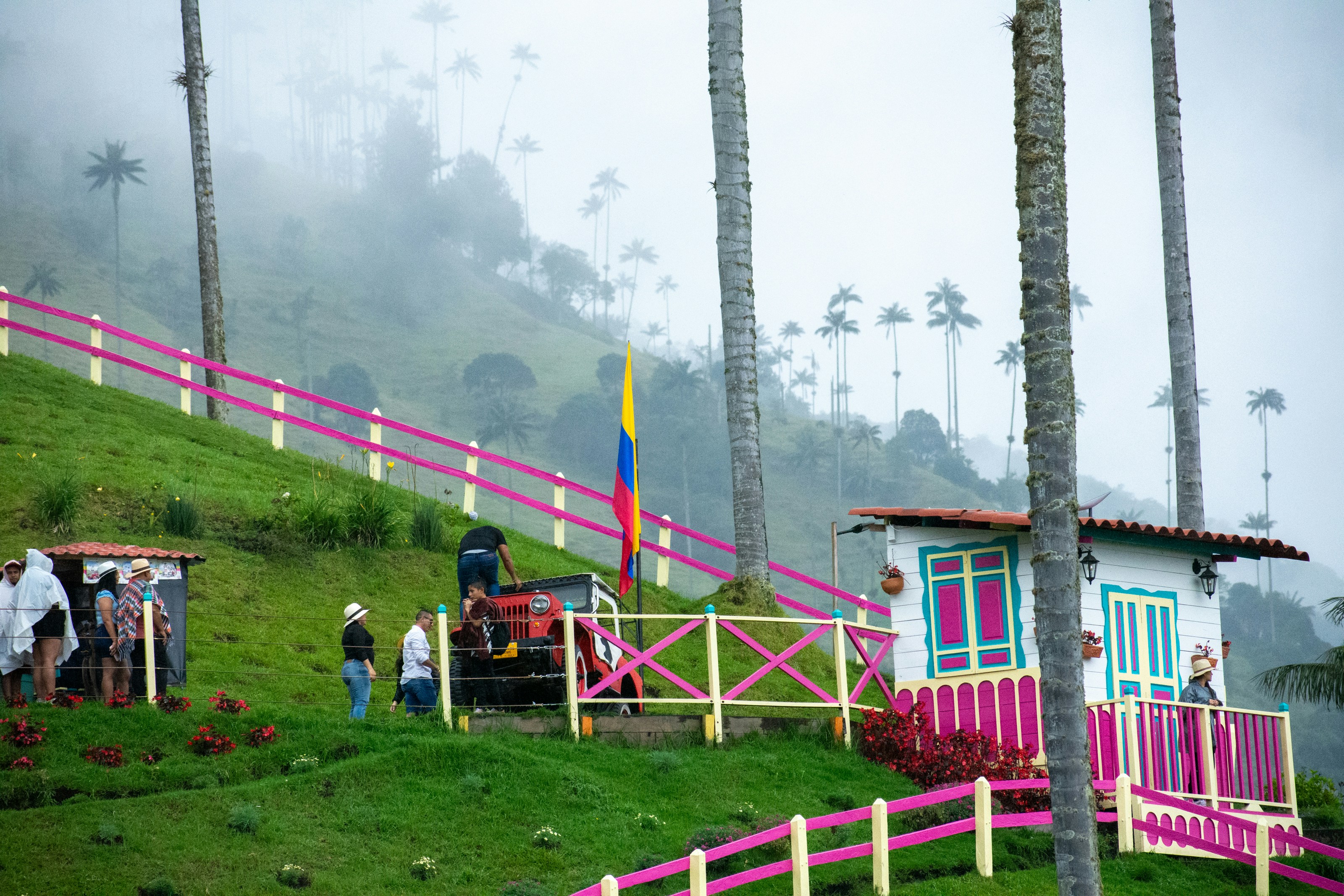 A group of people standing on top of a lush green hillside