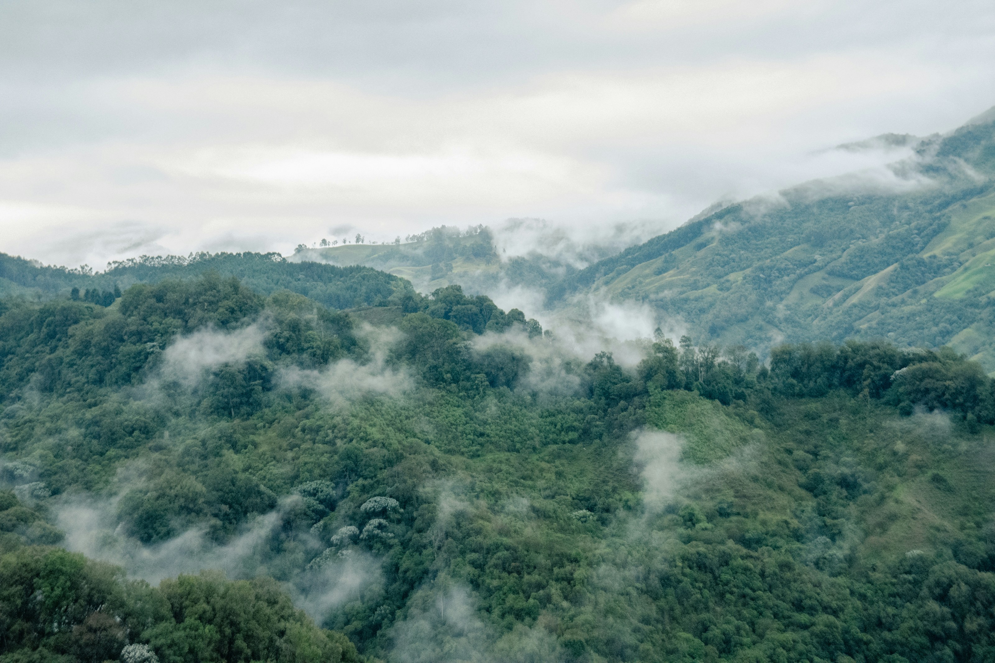 {In our Colombia travel guide, we answer questions like colombia is it safe to travel, based on expert insights. Places Colombia!