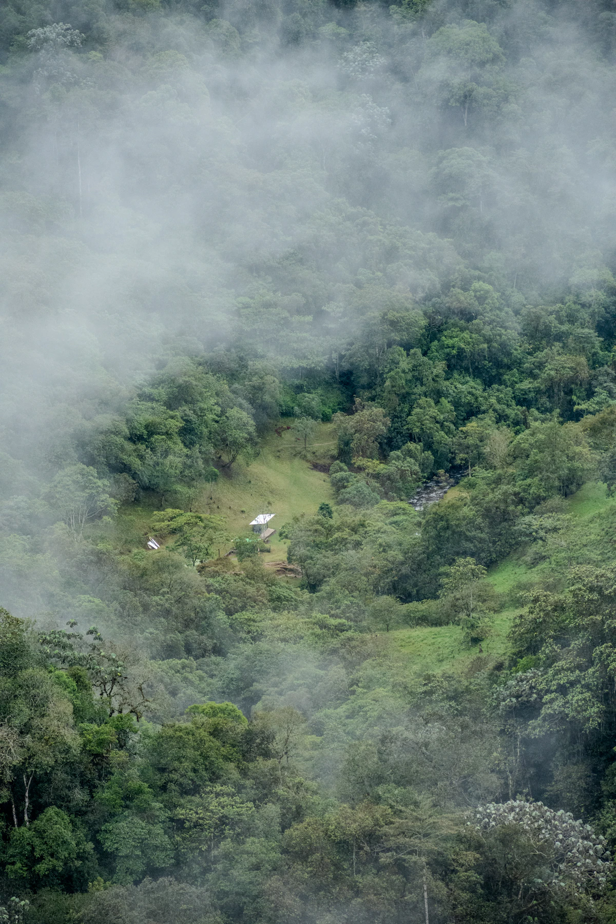 Eje Cafetero paisaje