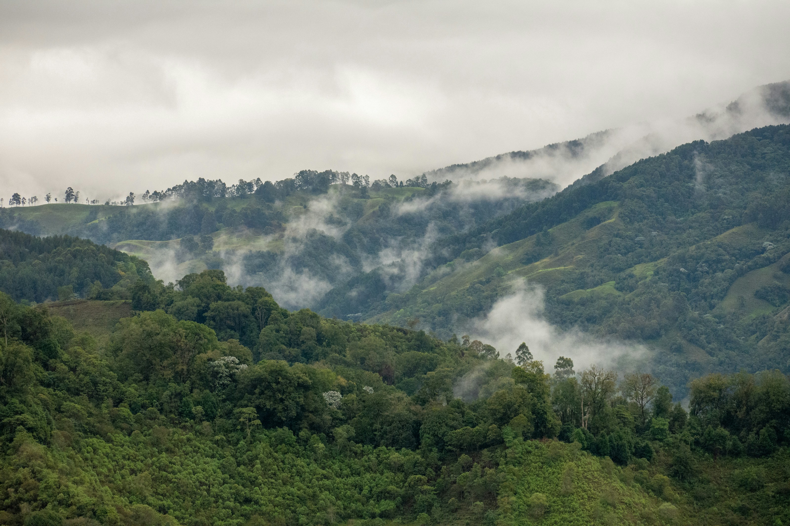 A lush green hillside covered in fog and clouds