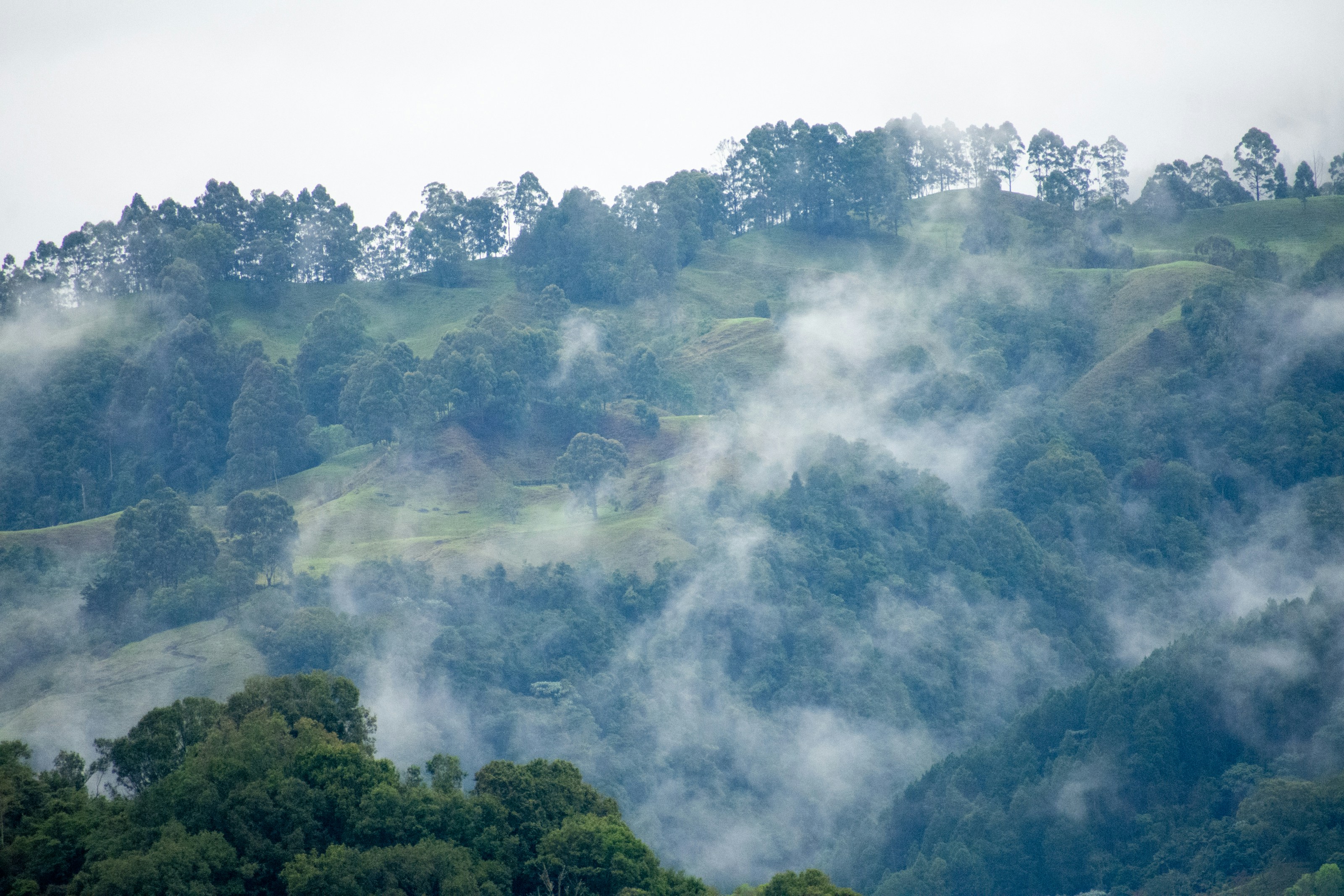 A mountain covered in clouds and trees on a cloudy day
