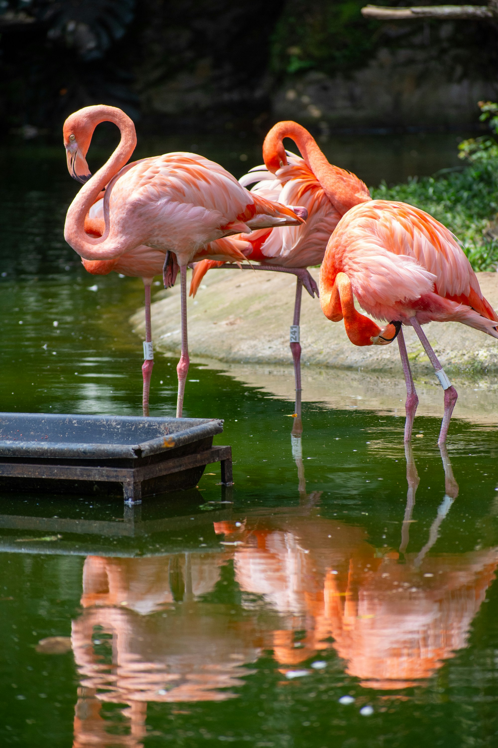 Photo by juanmanunez