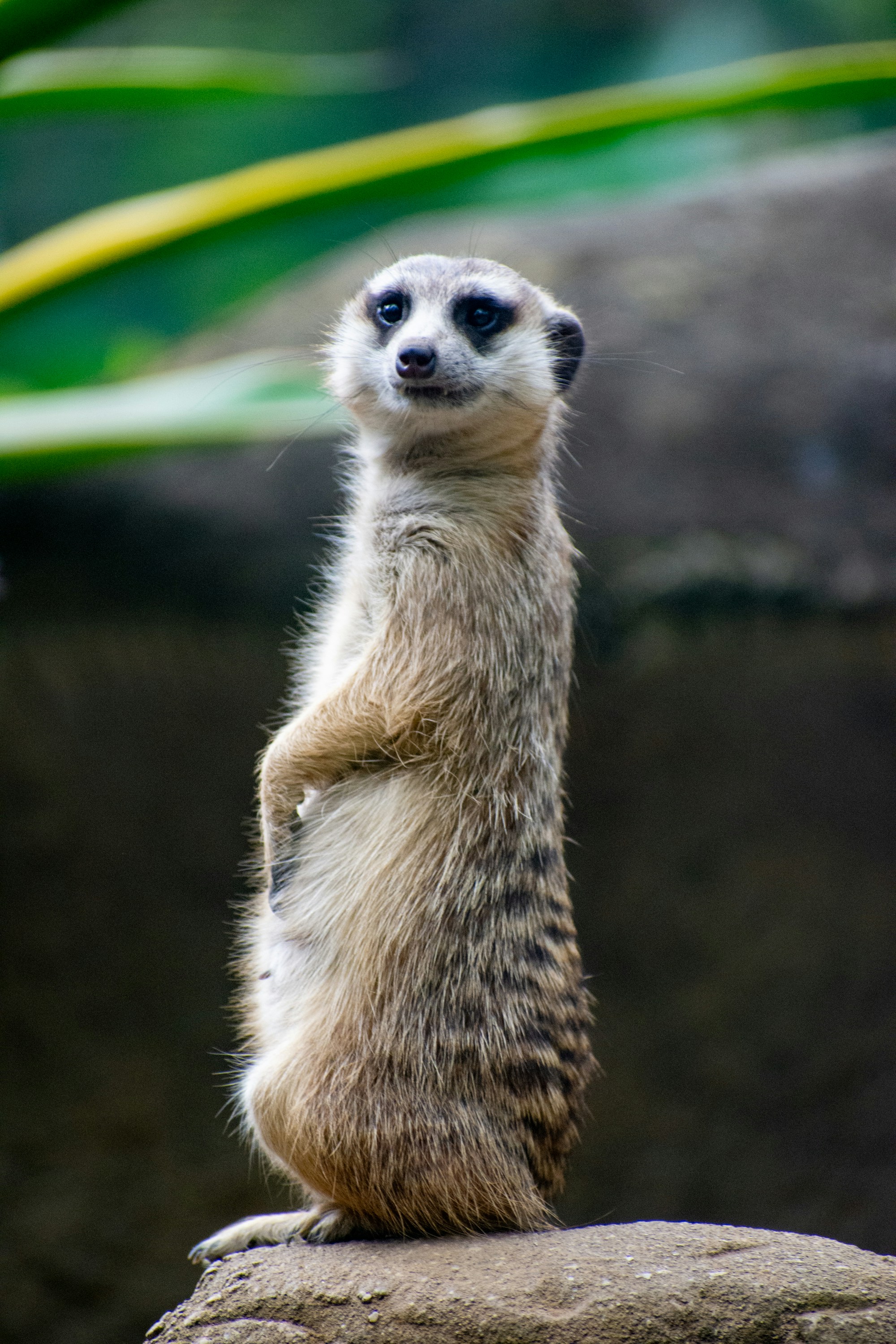 Photo by juanmanunez