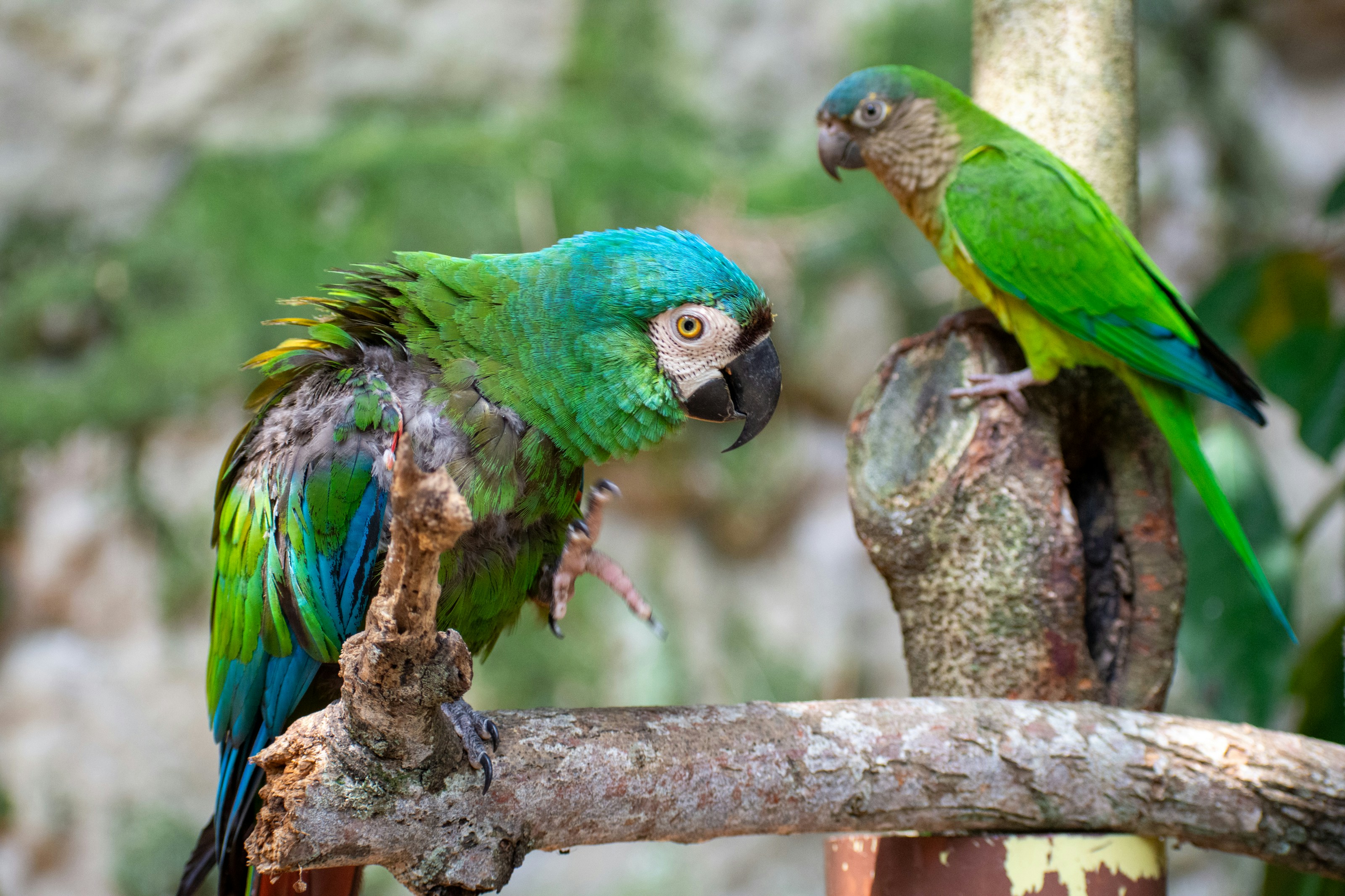 Photo by juanmanunez