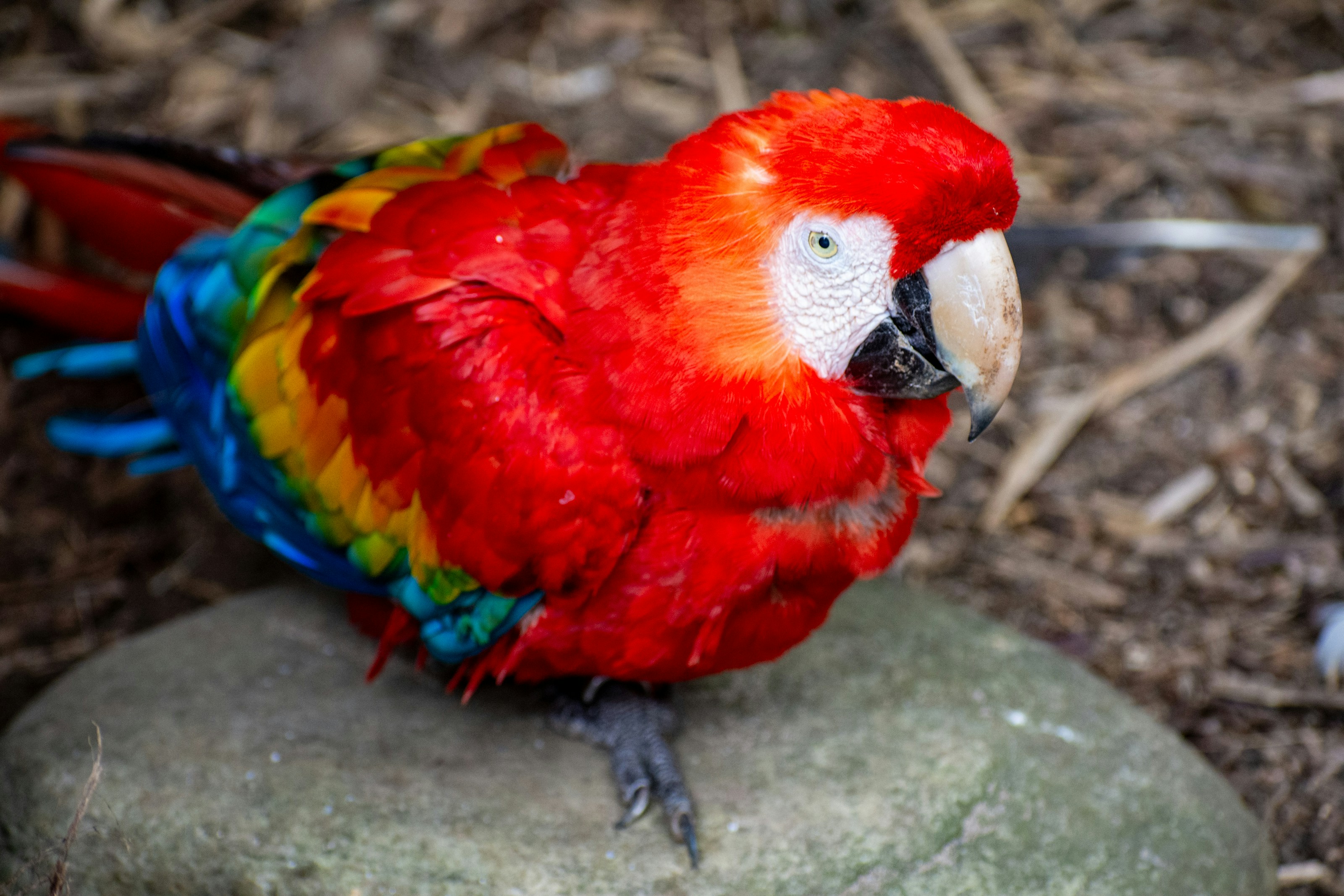 Photo by juanmanunez