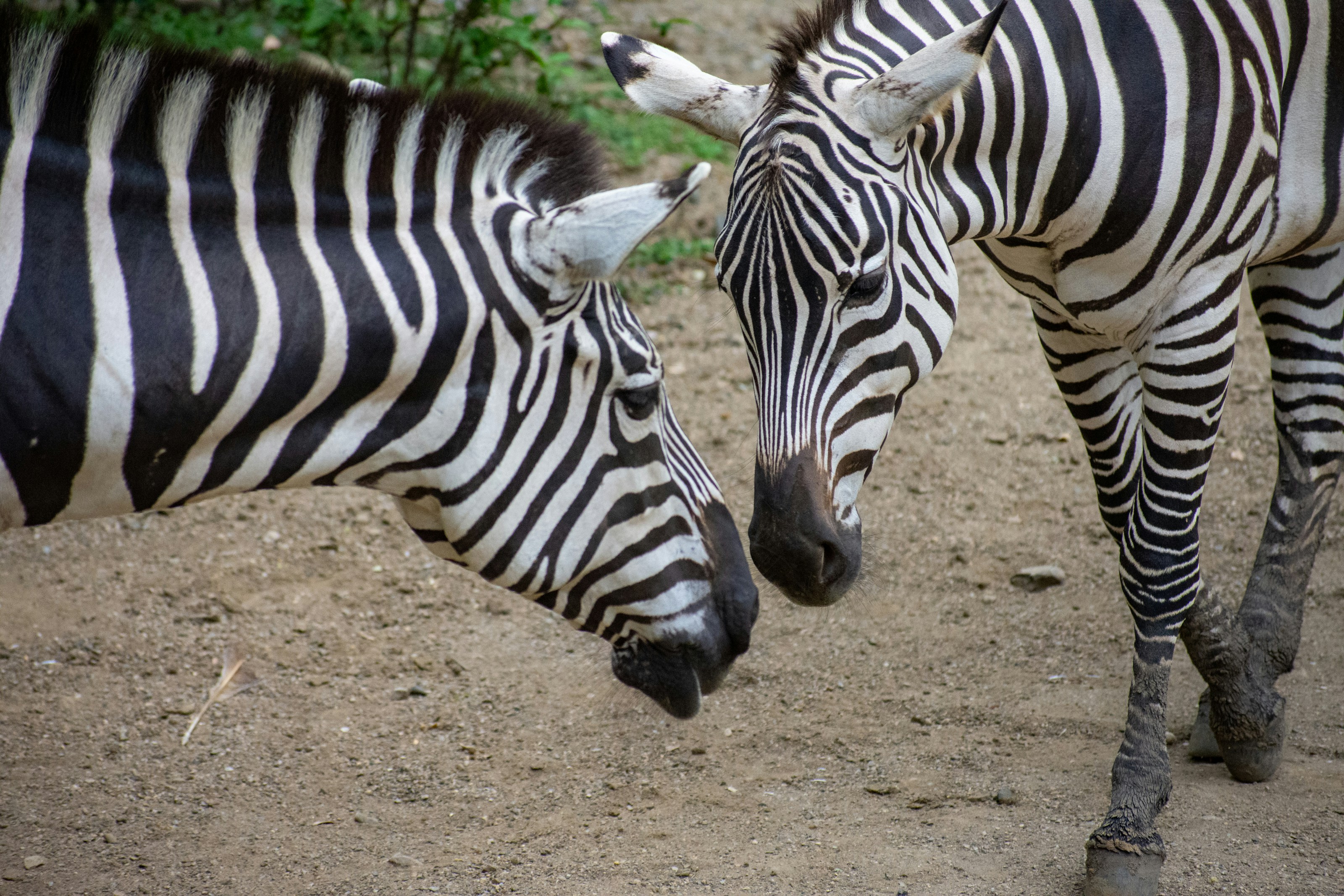 Photo by juanmanunez