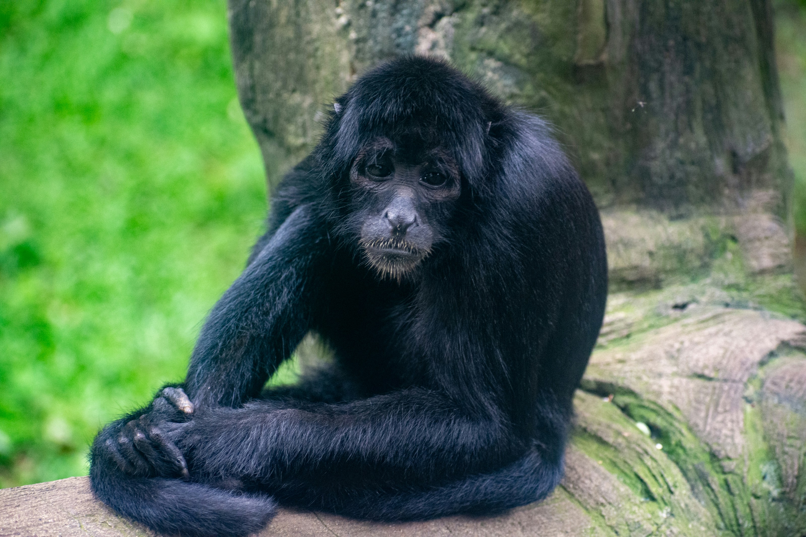 Photo by juanmanunez