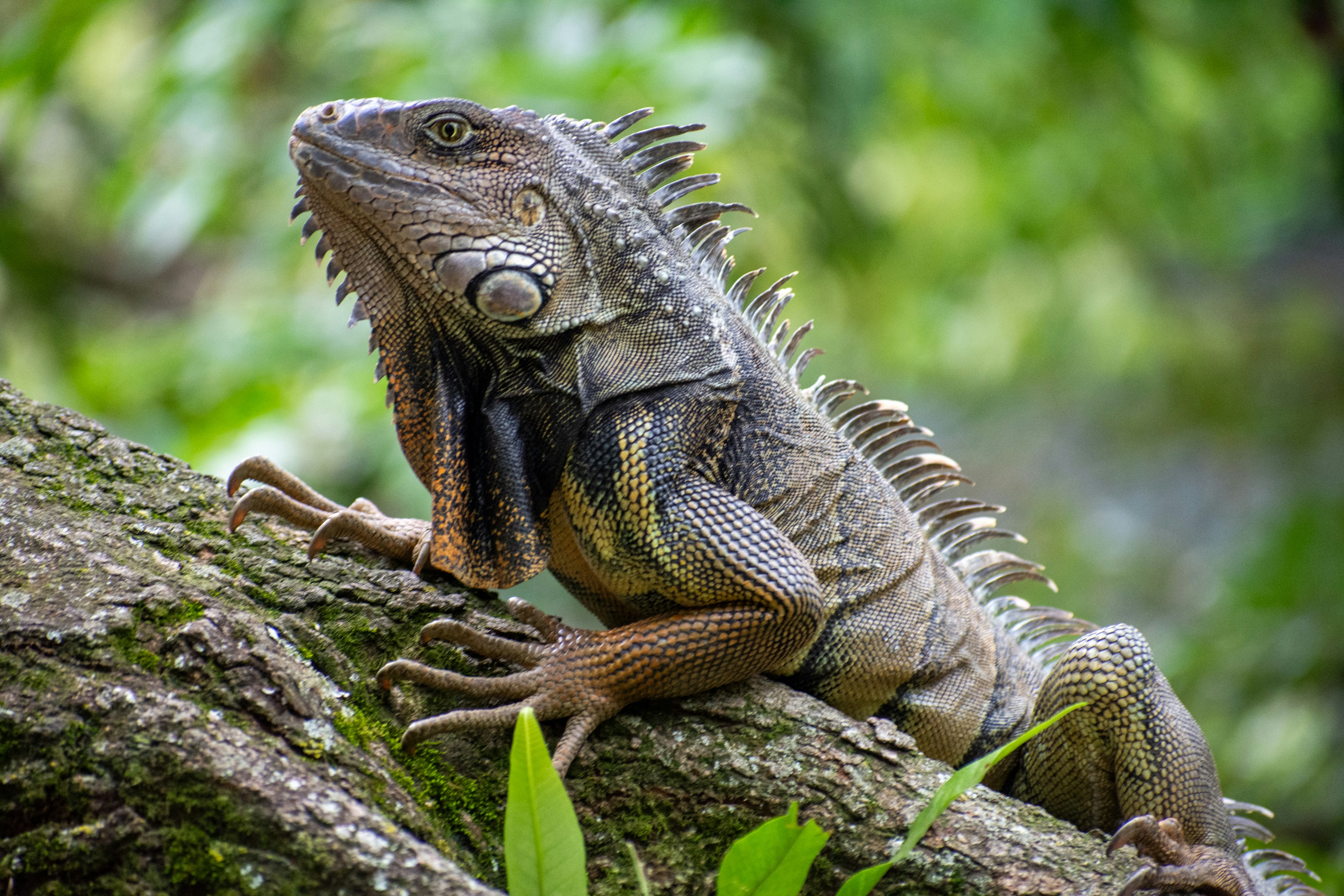 Photo by juanmanunez