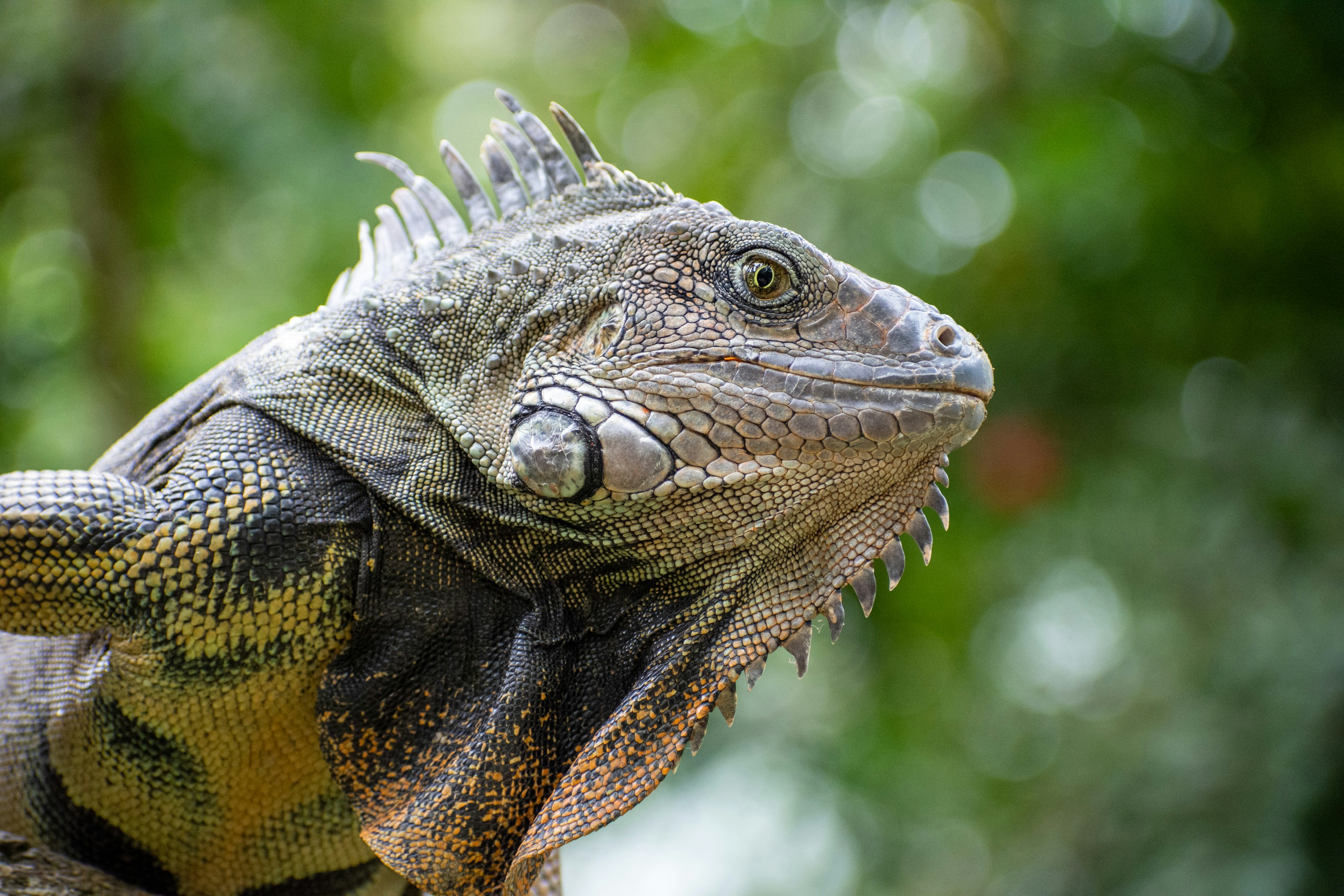 Photo by juanmanunez