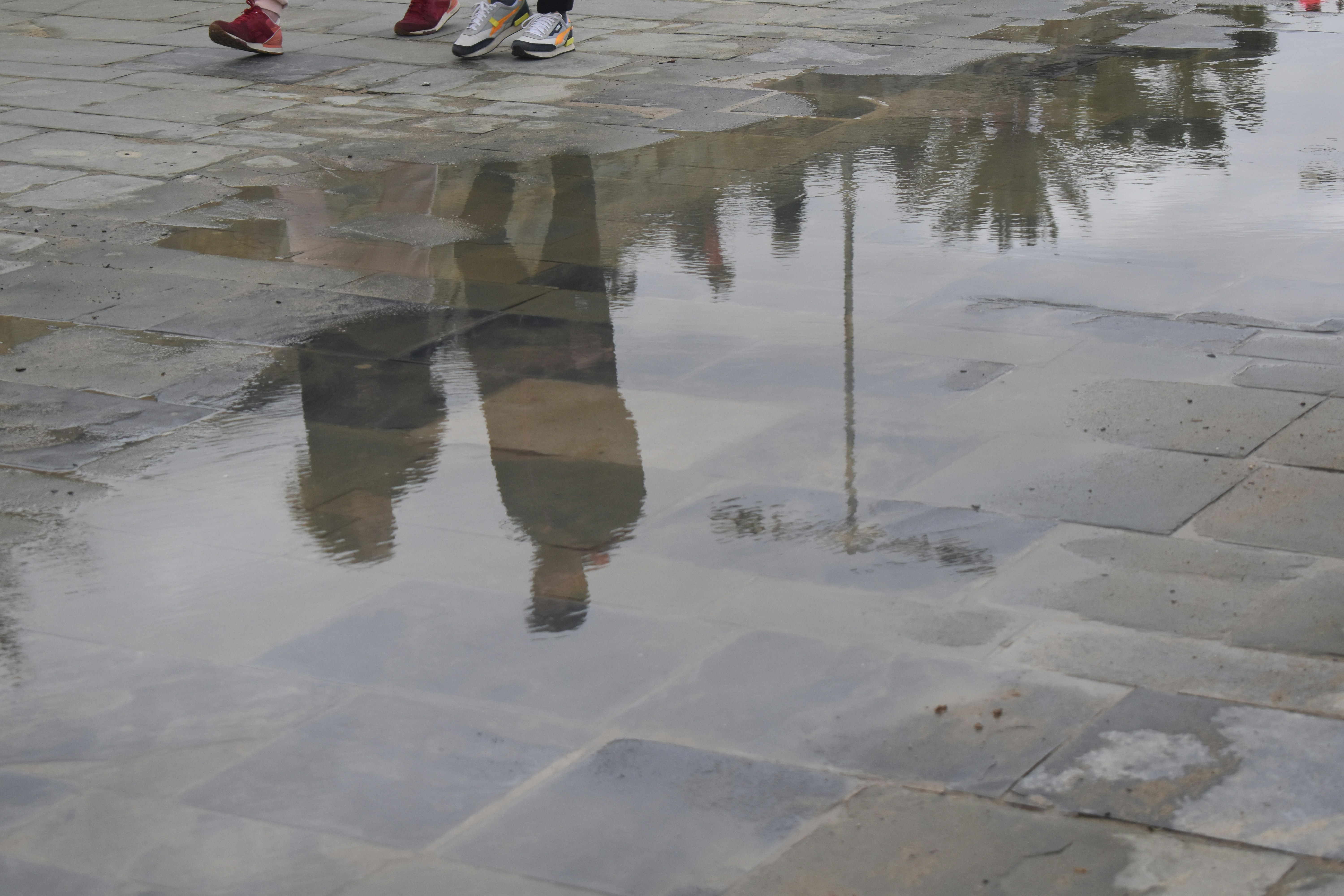 Photo by niloufarmirhadi