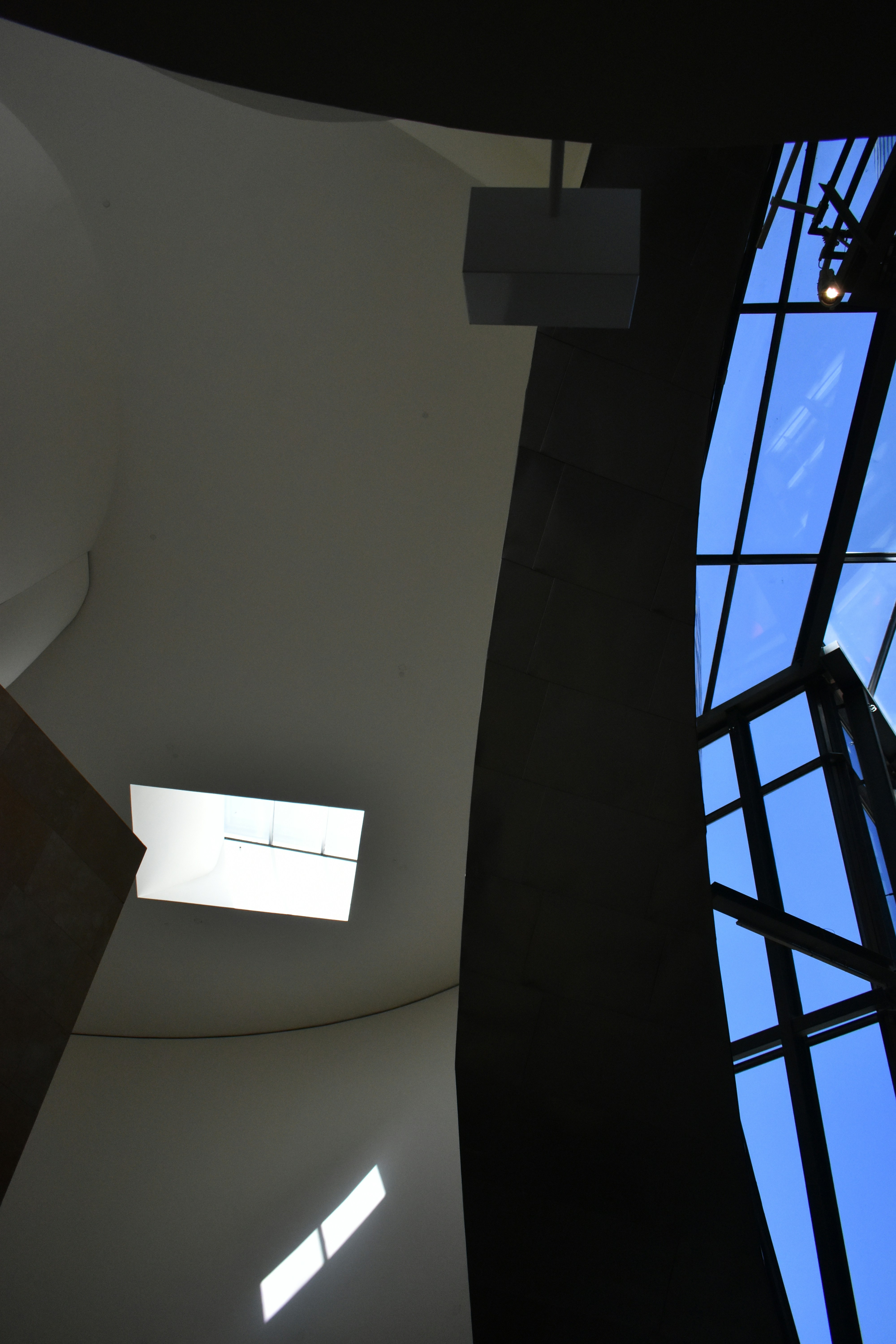 Photo by niloufarmirhadi