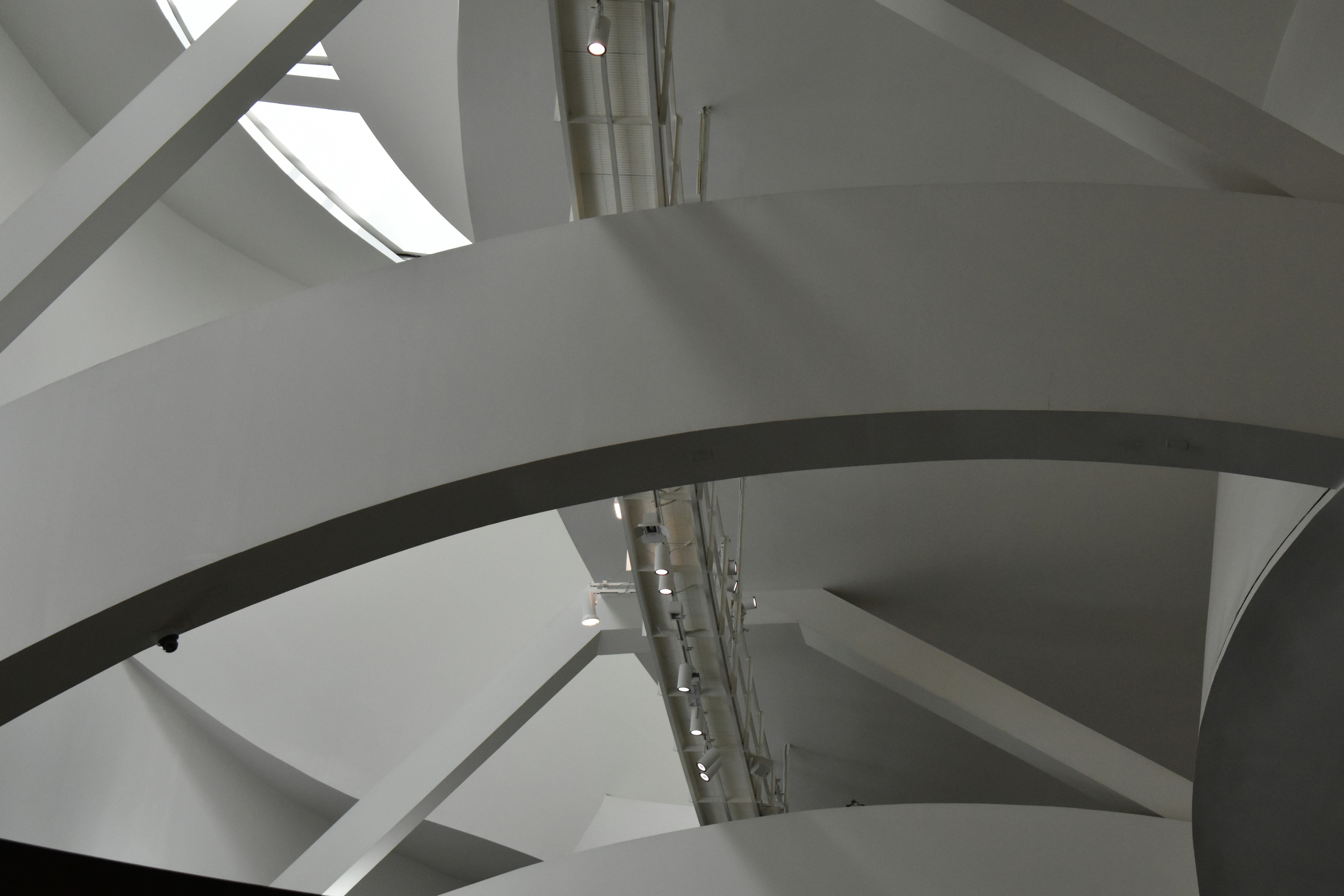 Photo by niloufarmirhadi