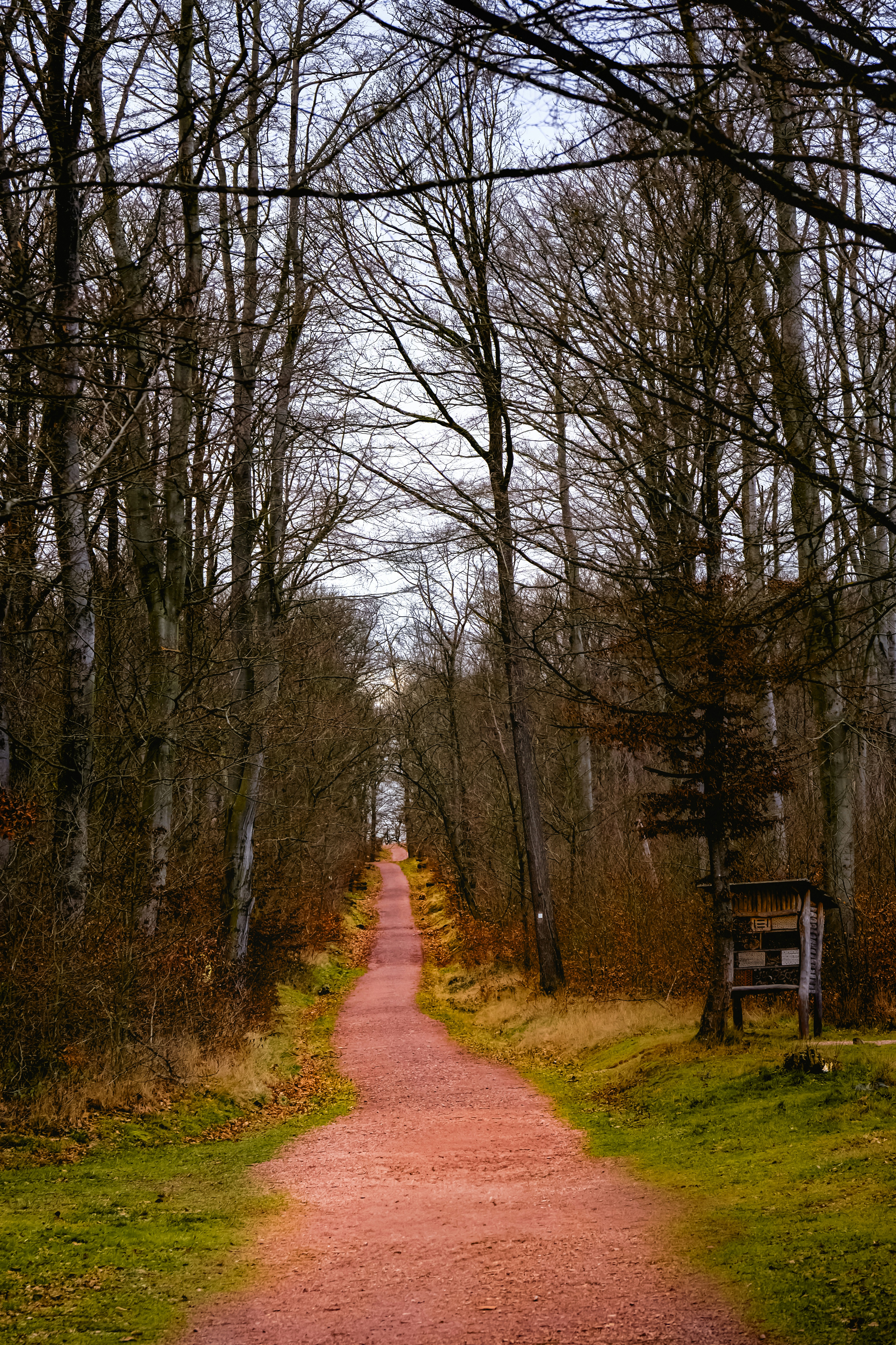 Photo by denisaficau