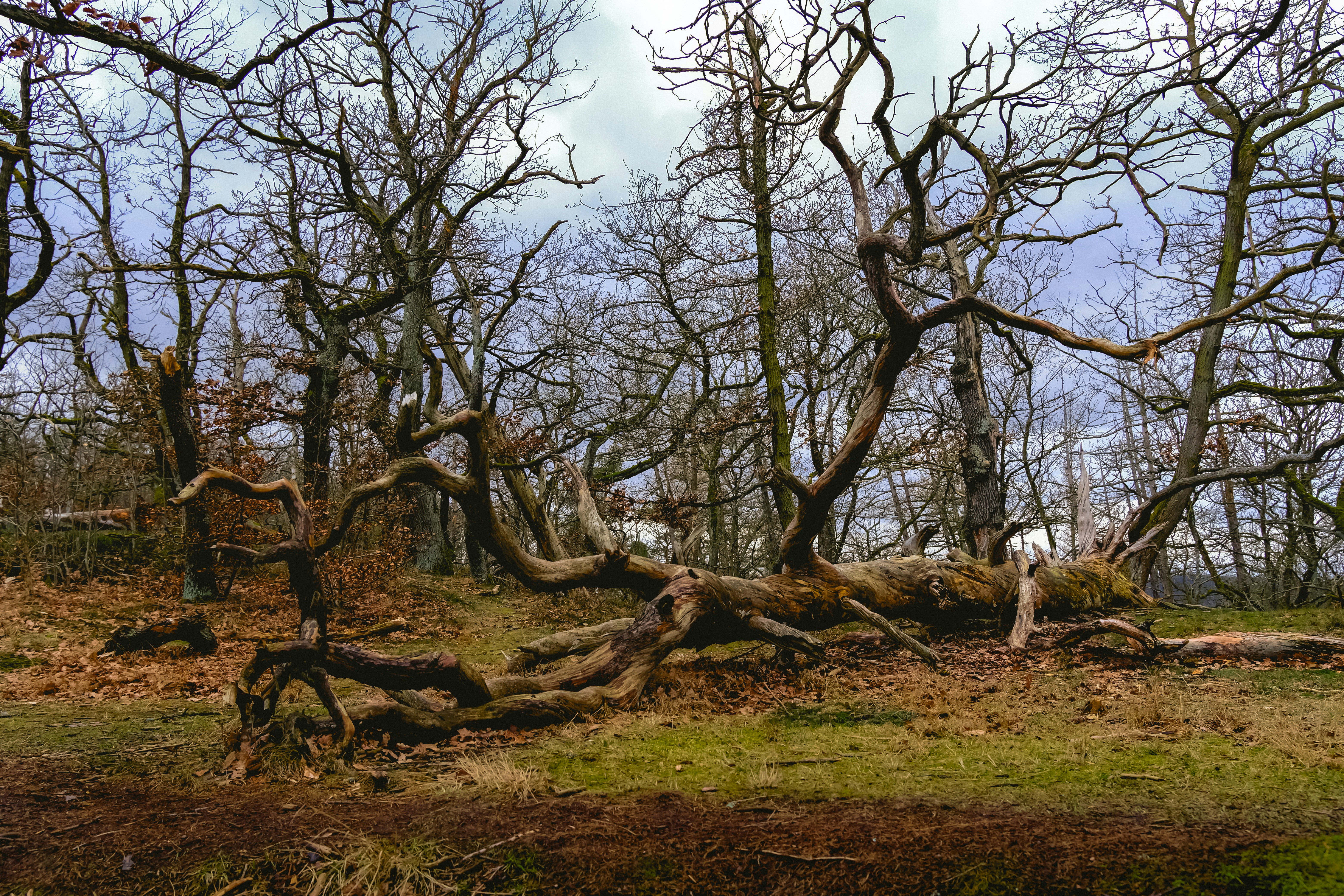 Photo by denisaficau