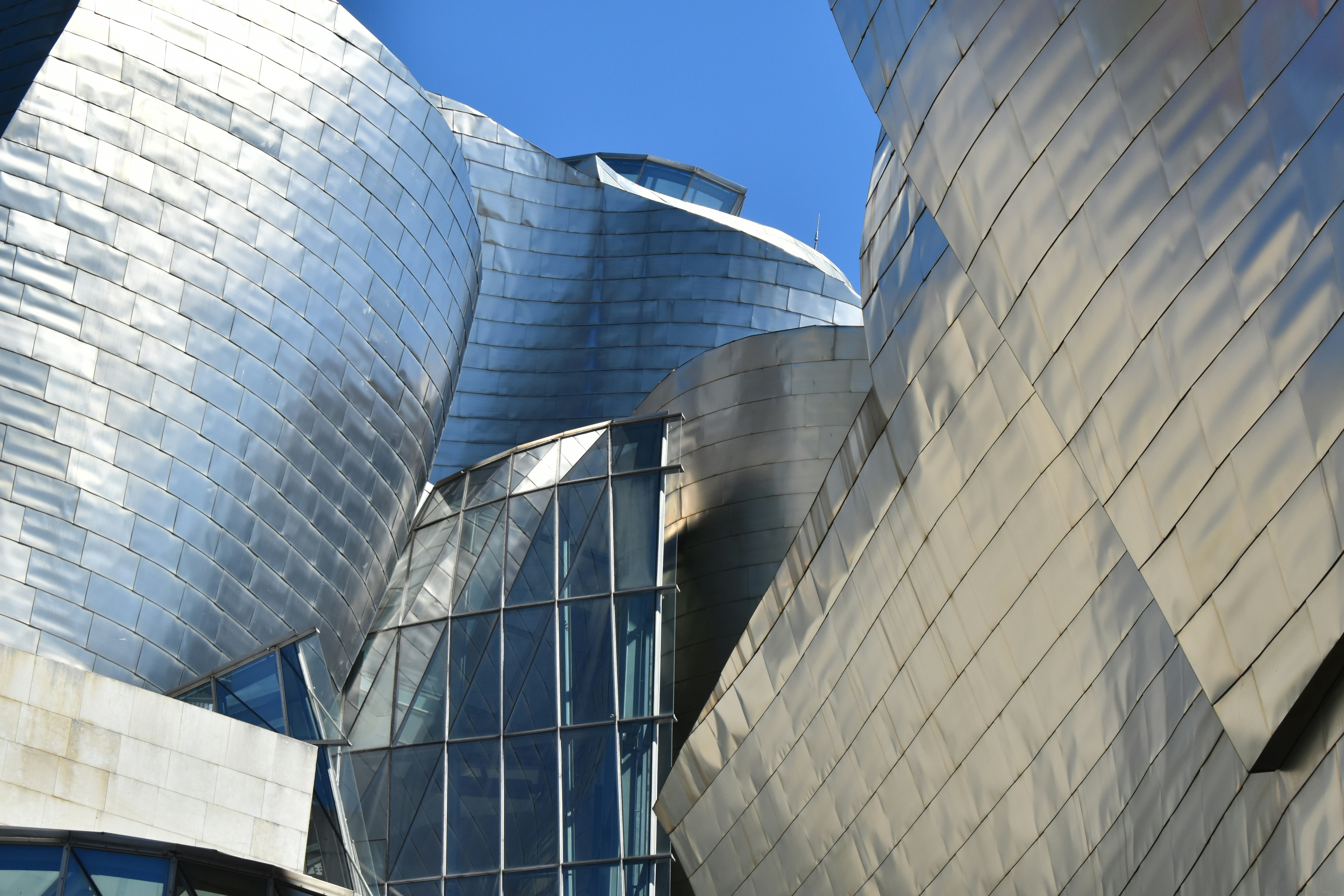 Photo by niloufarmirhadi