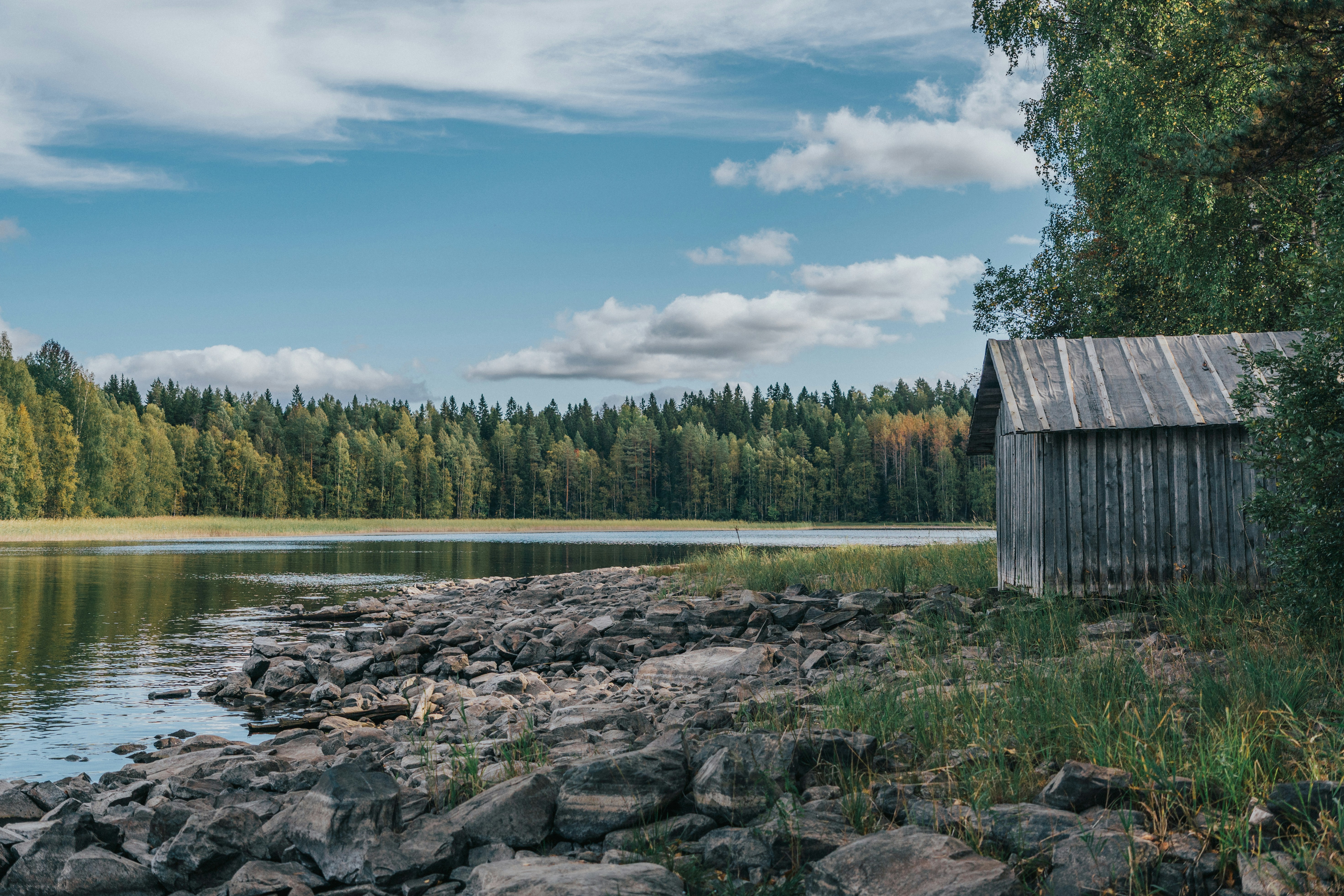 A body of water surrounded by trees and rocks