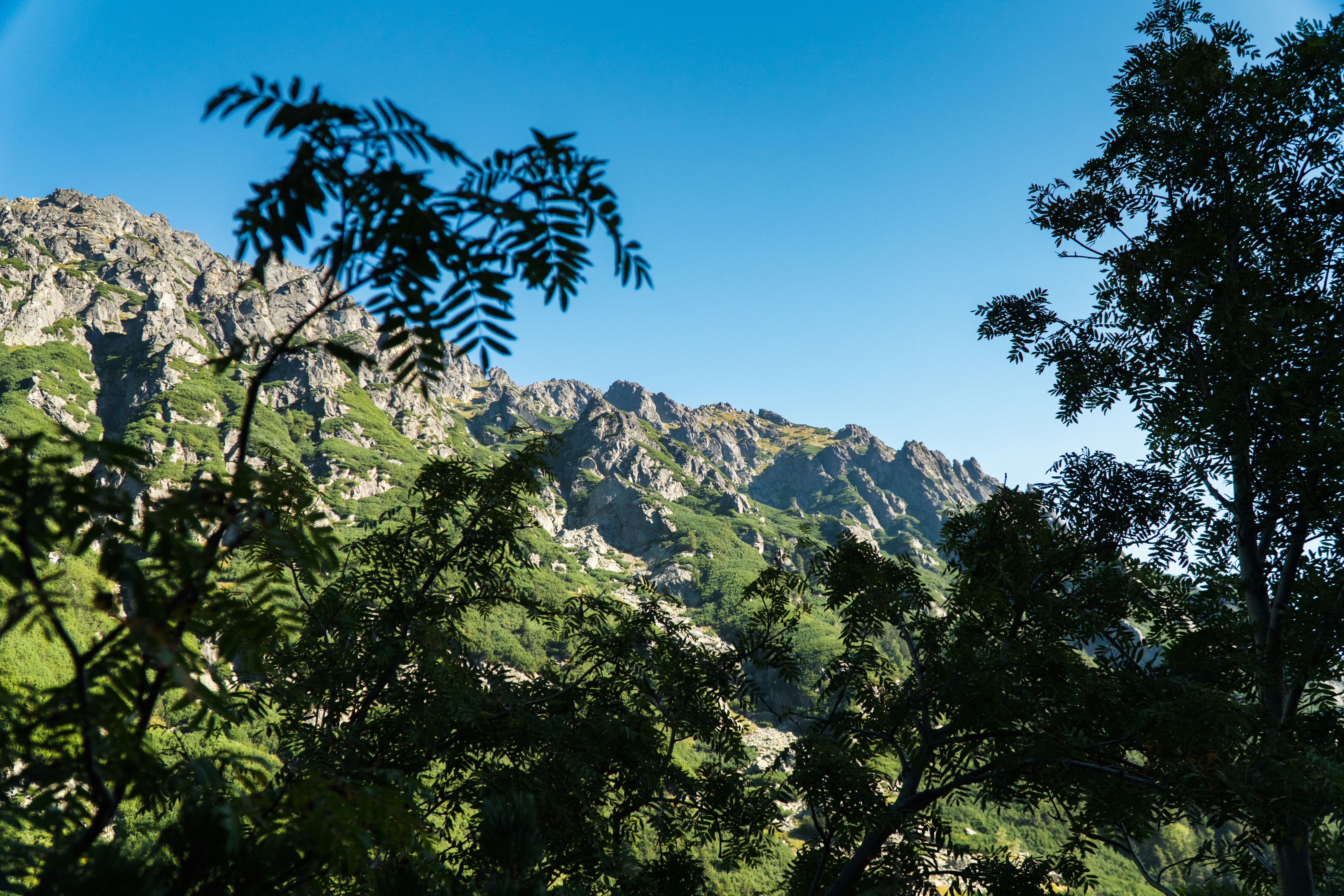 Photo by maciejka_dslr