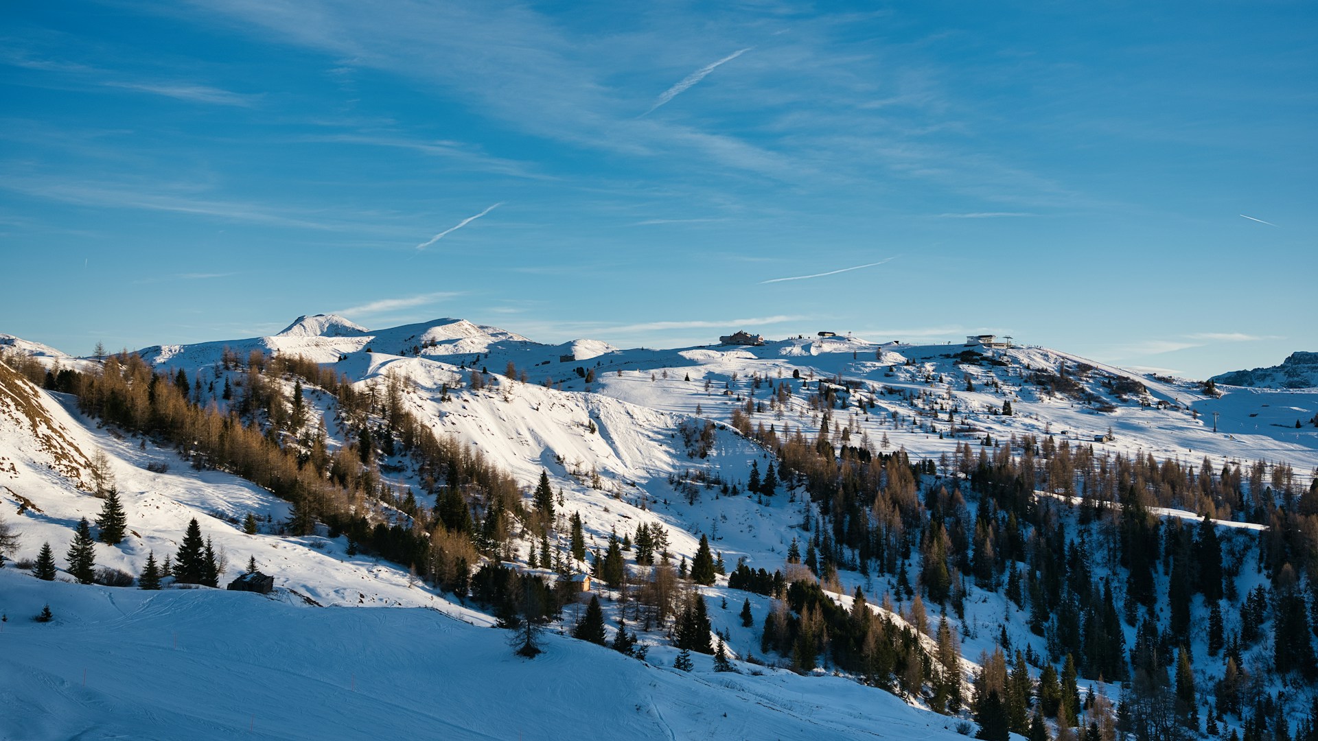 A snow covered mountain with trees and a sky background