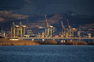 A large body of water with a bunch of cranes in the background