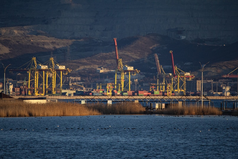 A large body of water with a bunch of cranes in the background