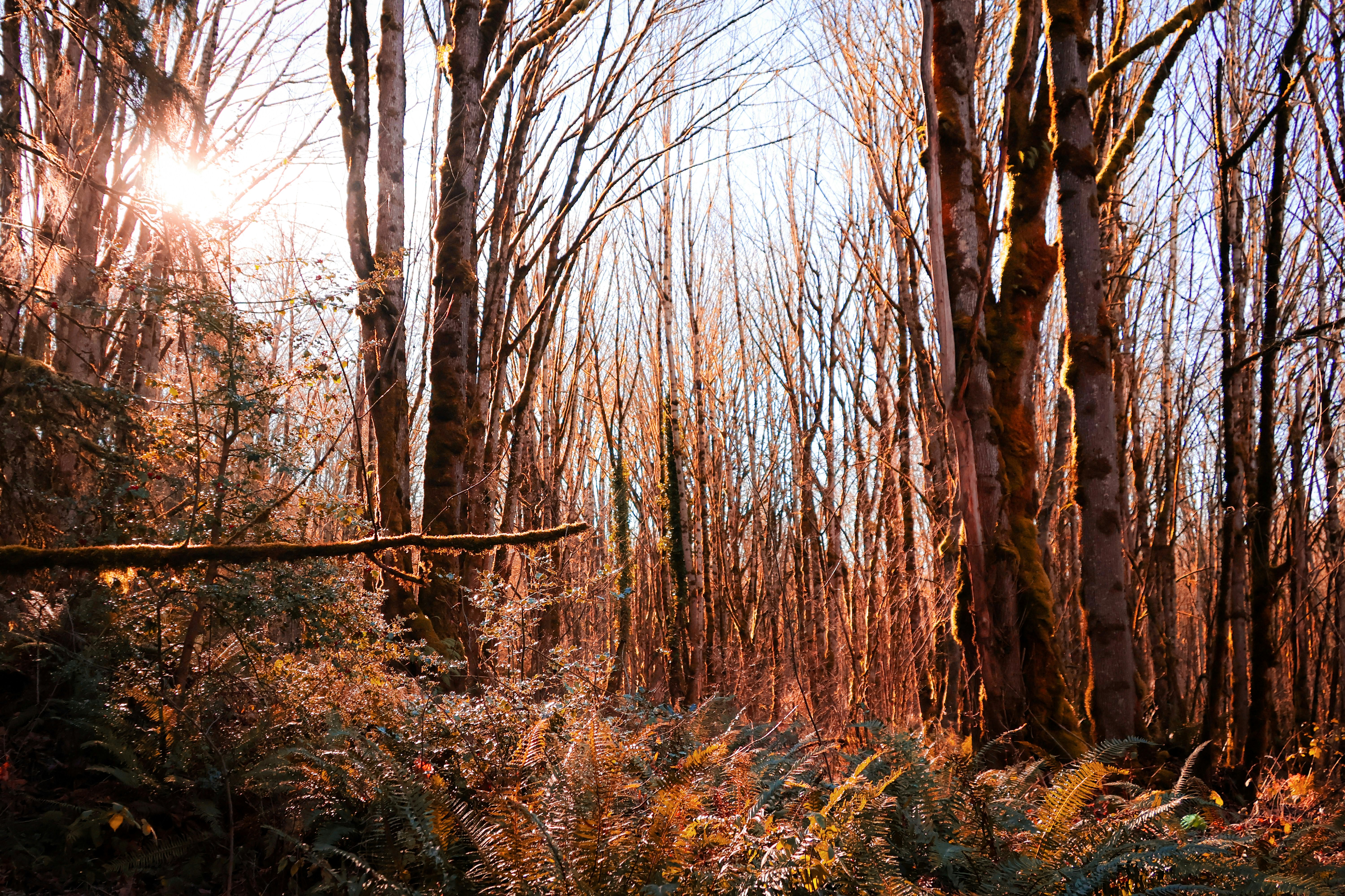 Photo by traveleroohlala