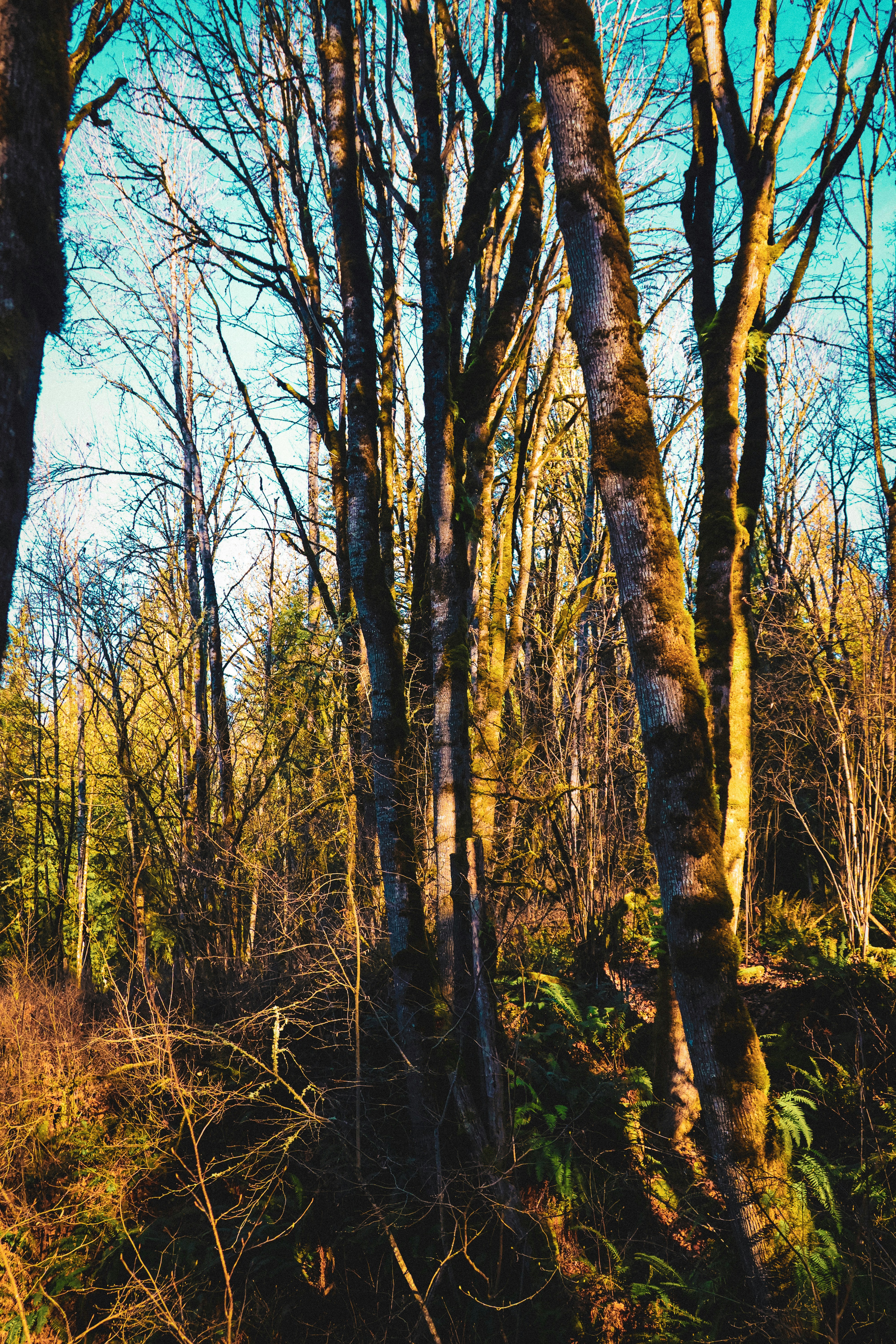 Photo by traveleroohlala