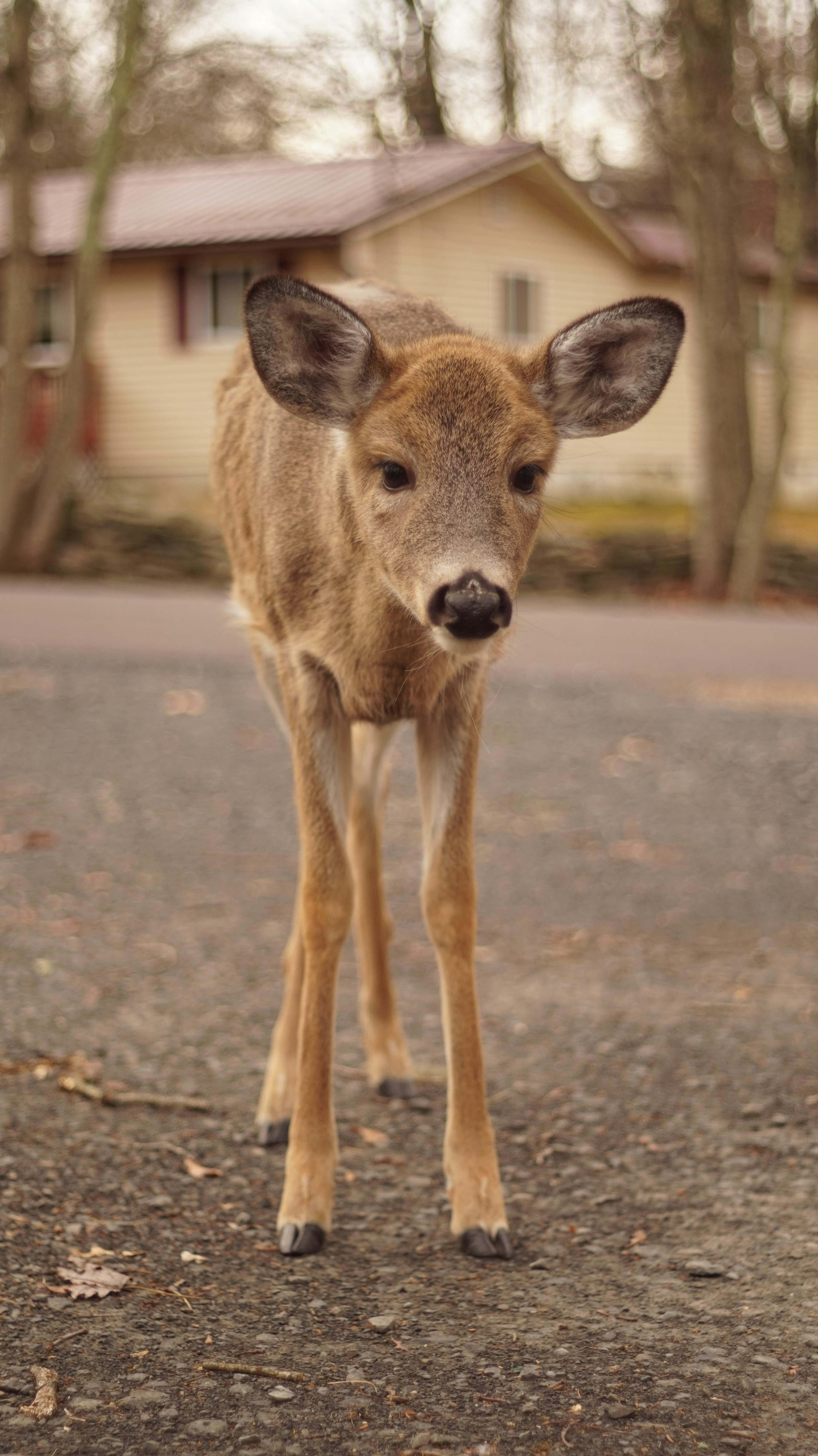 Photo by mathewmabee