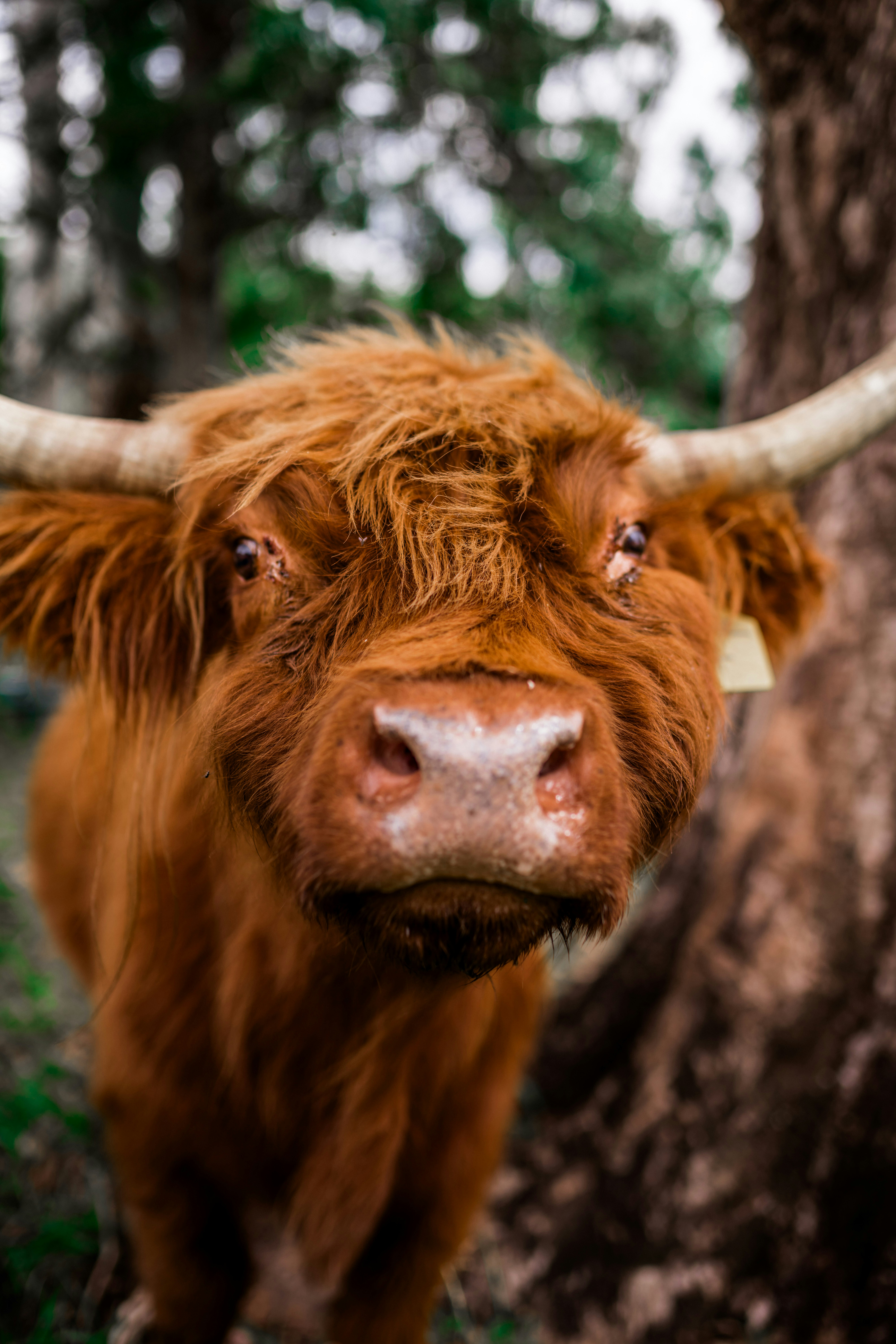 Photo by baileymahon