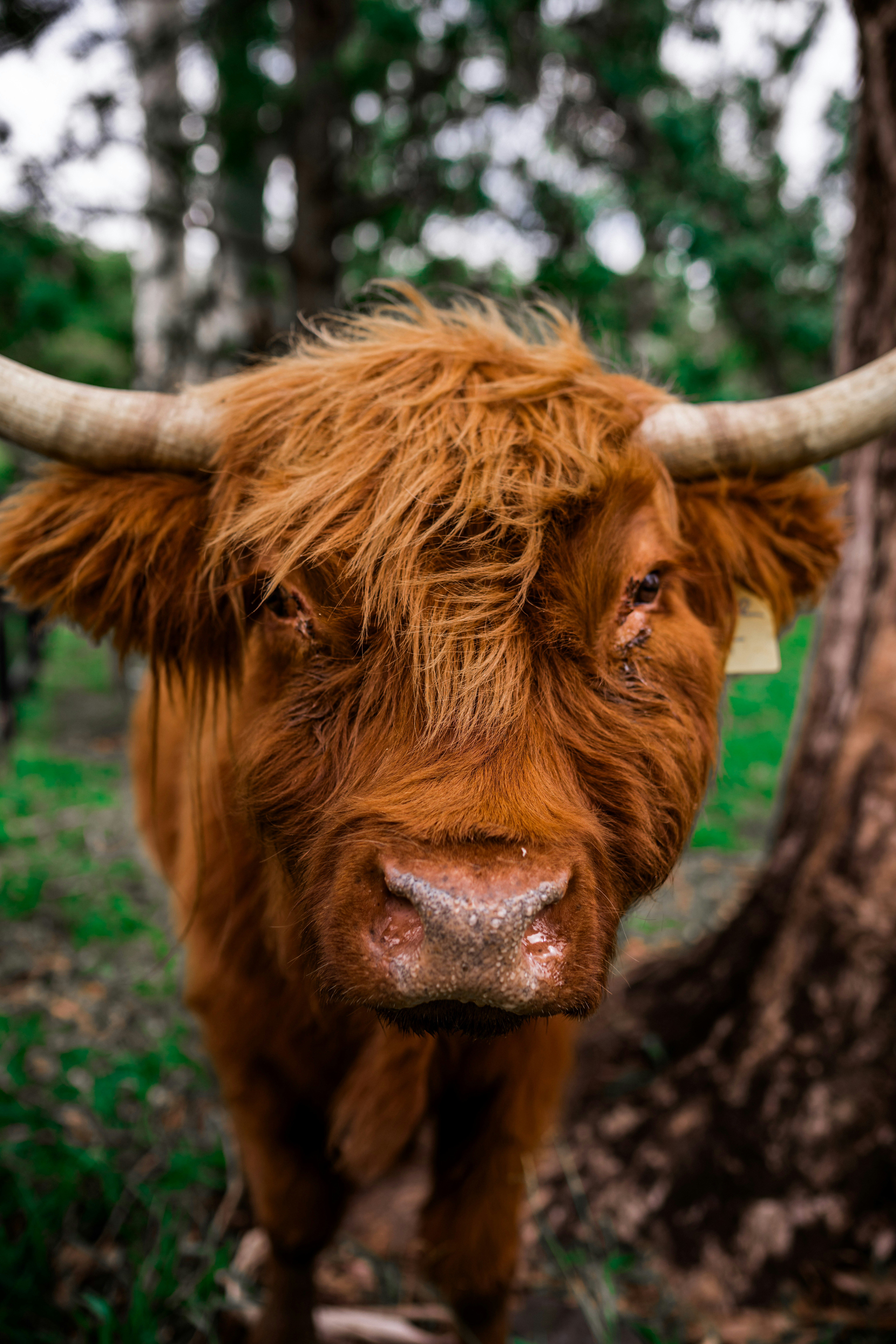 Photo by baileymahon