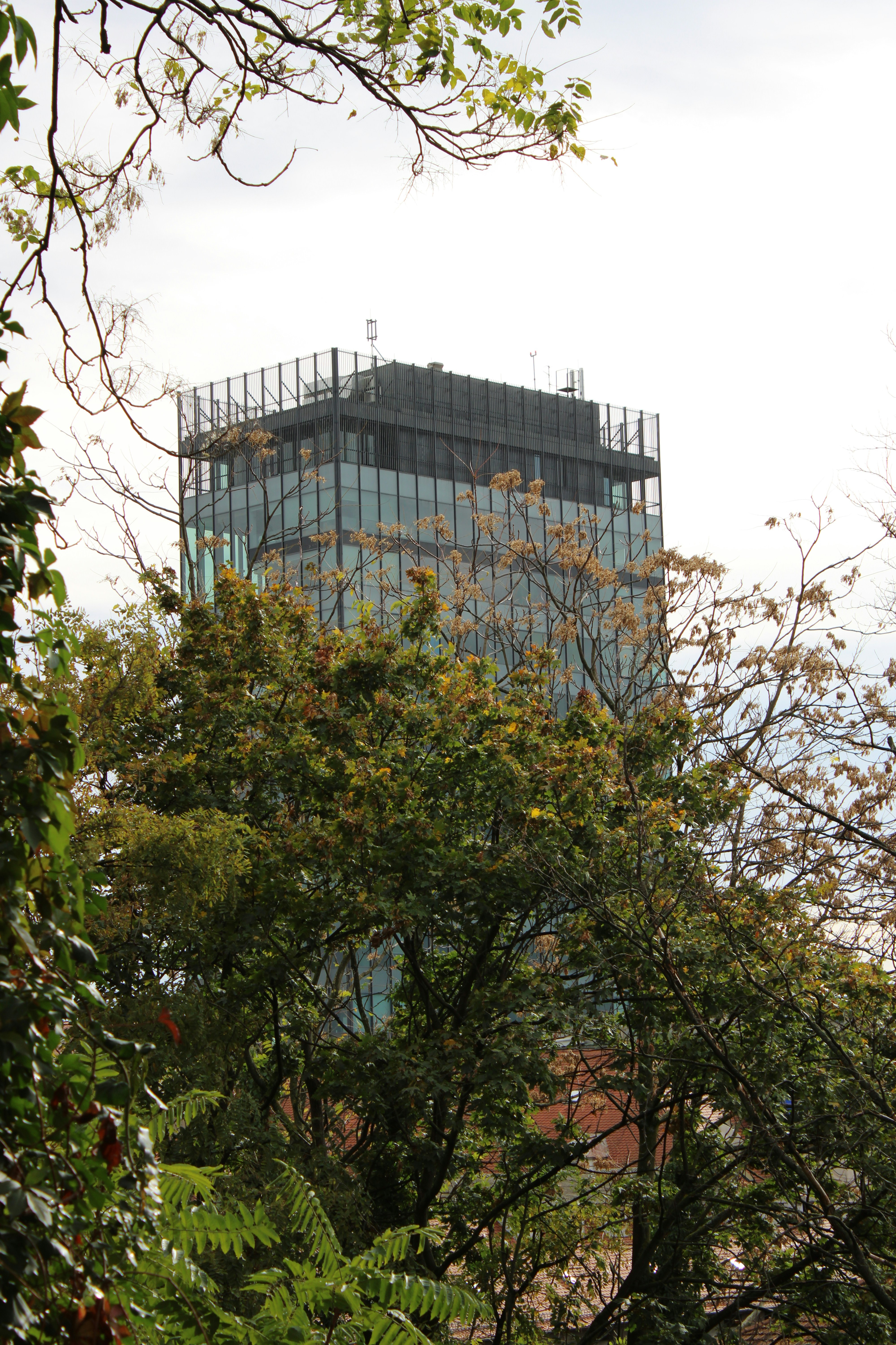 Photo by mihaelstojcevic