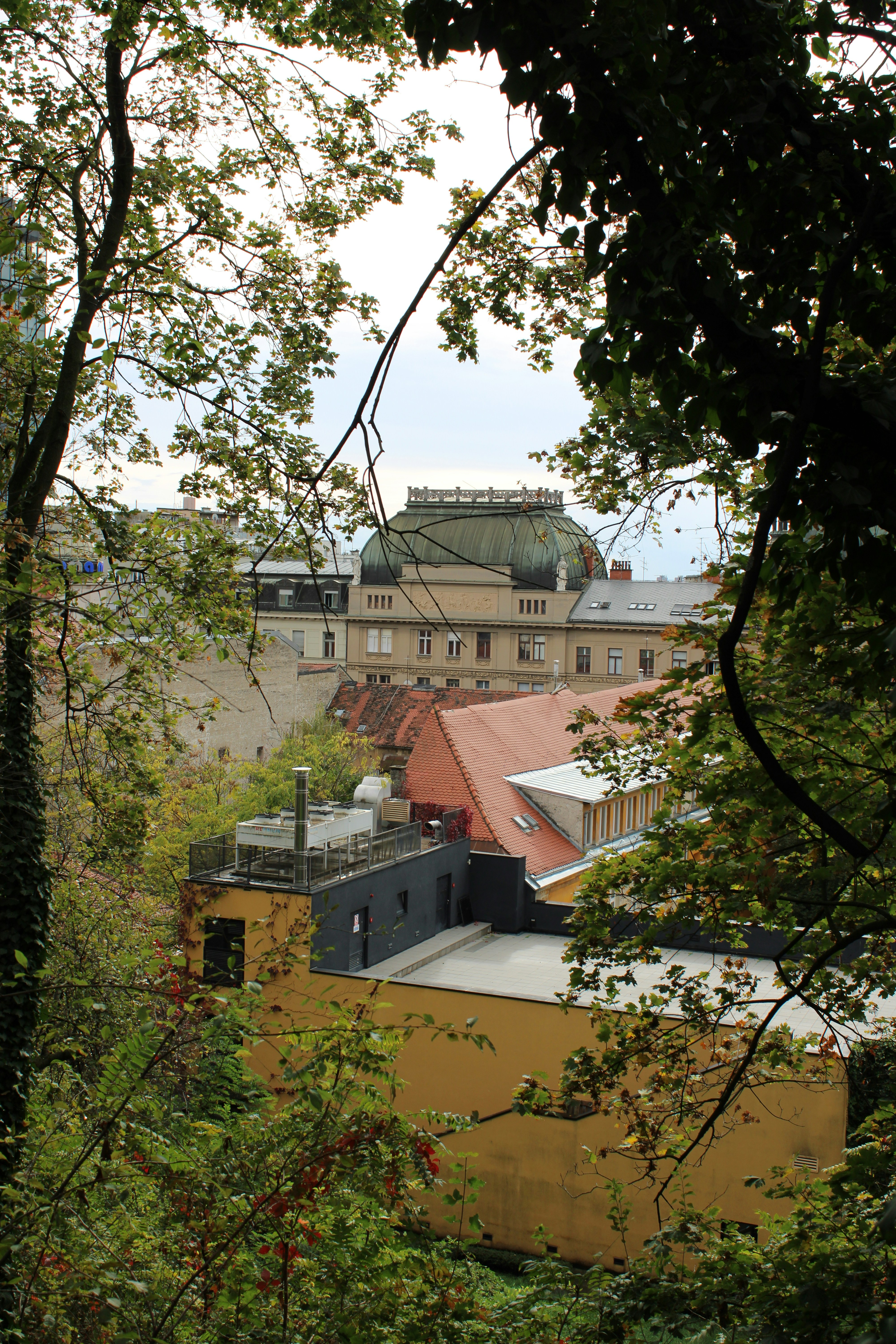 A view of a building through the trees