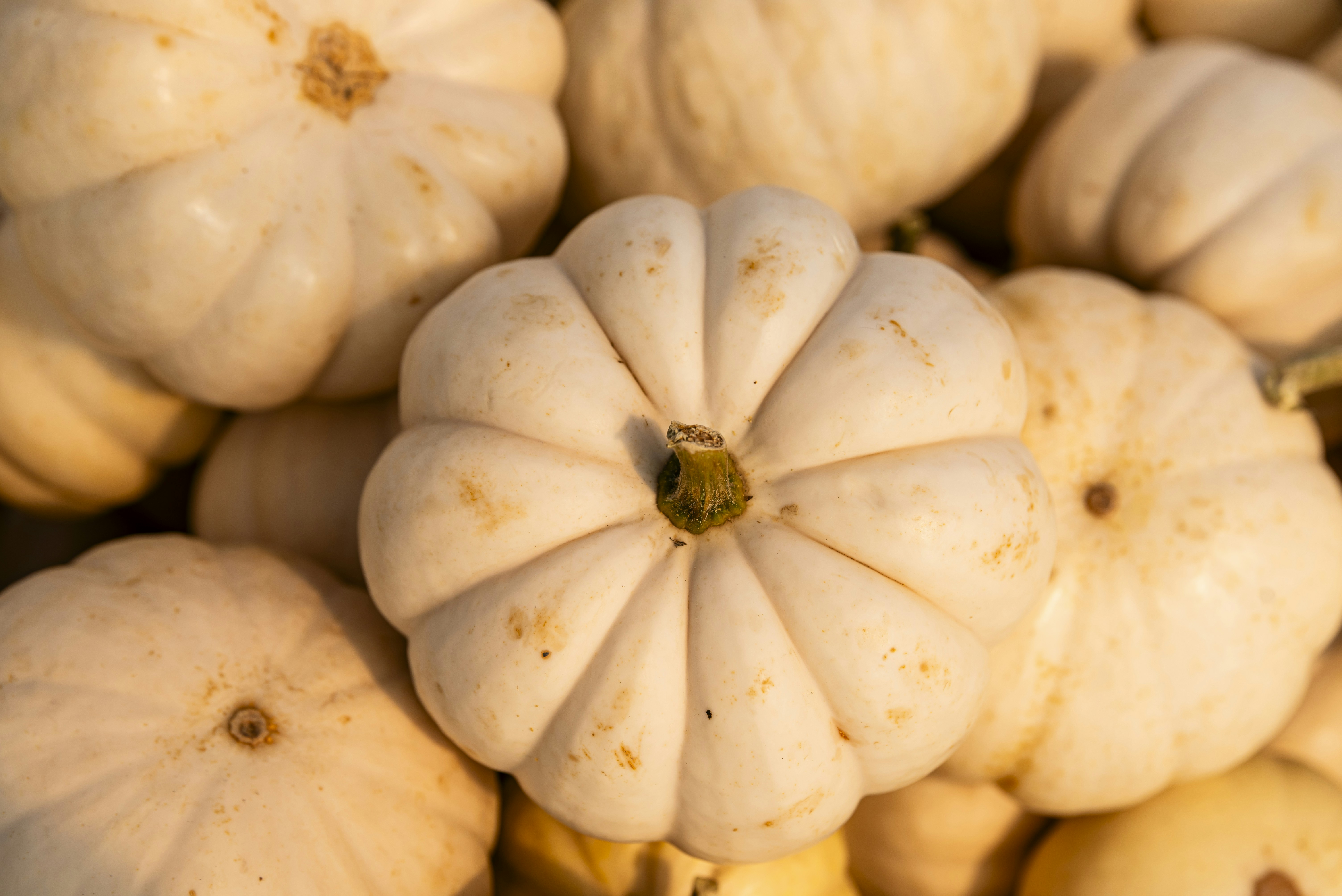 Photo by michael_jay_photography