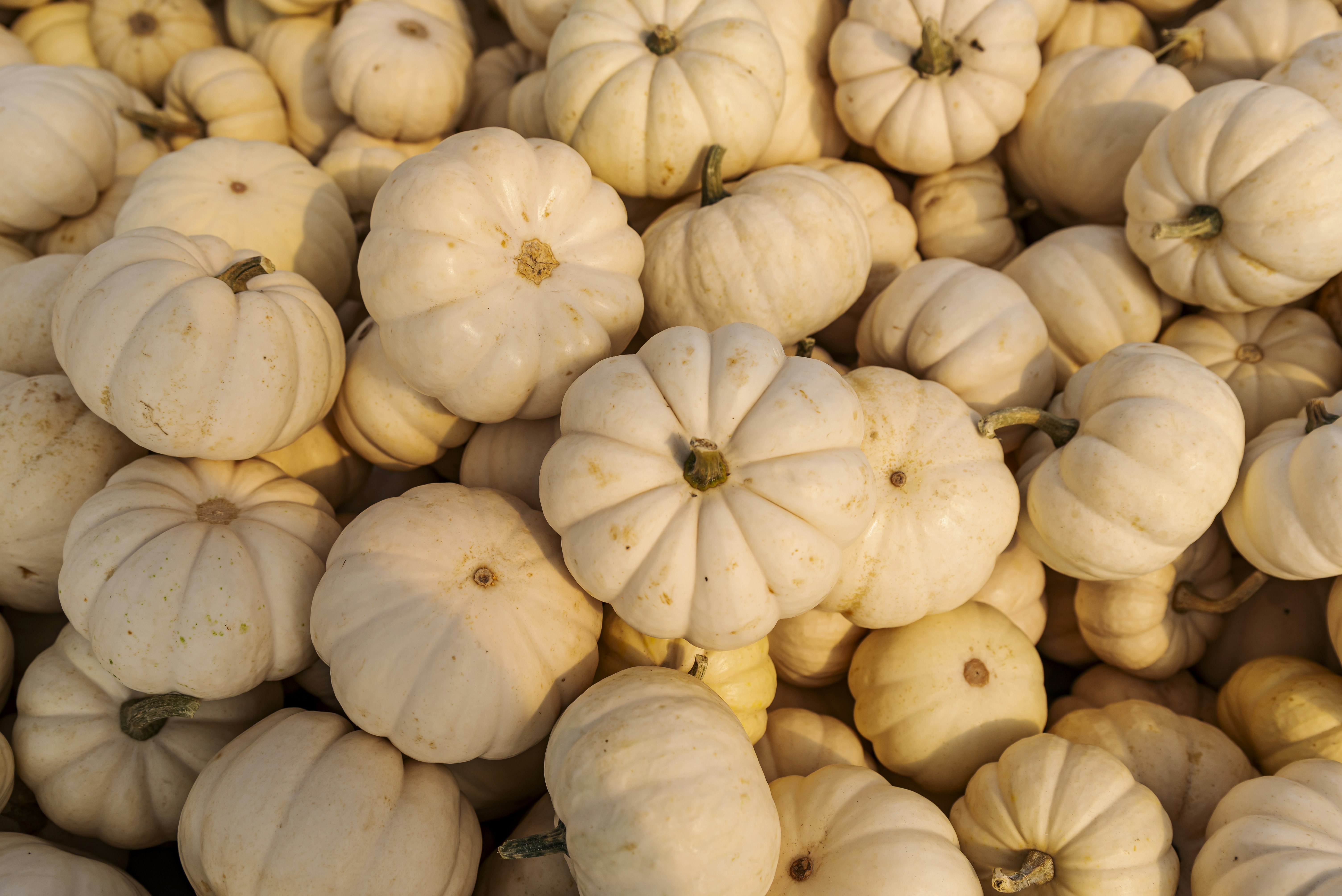 Photo by michael_jay_photography