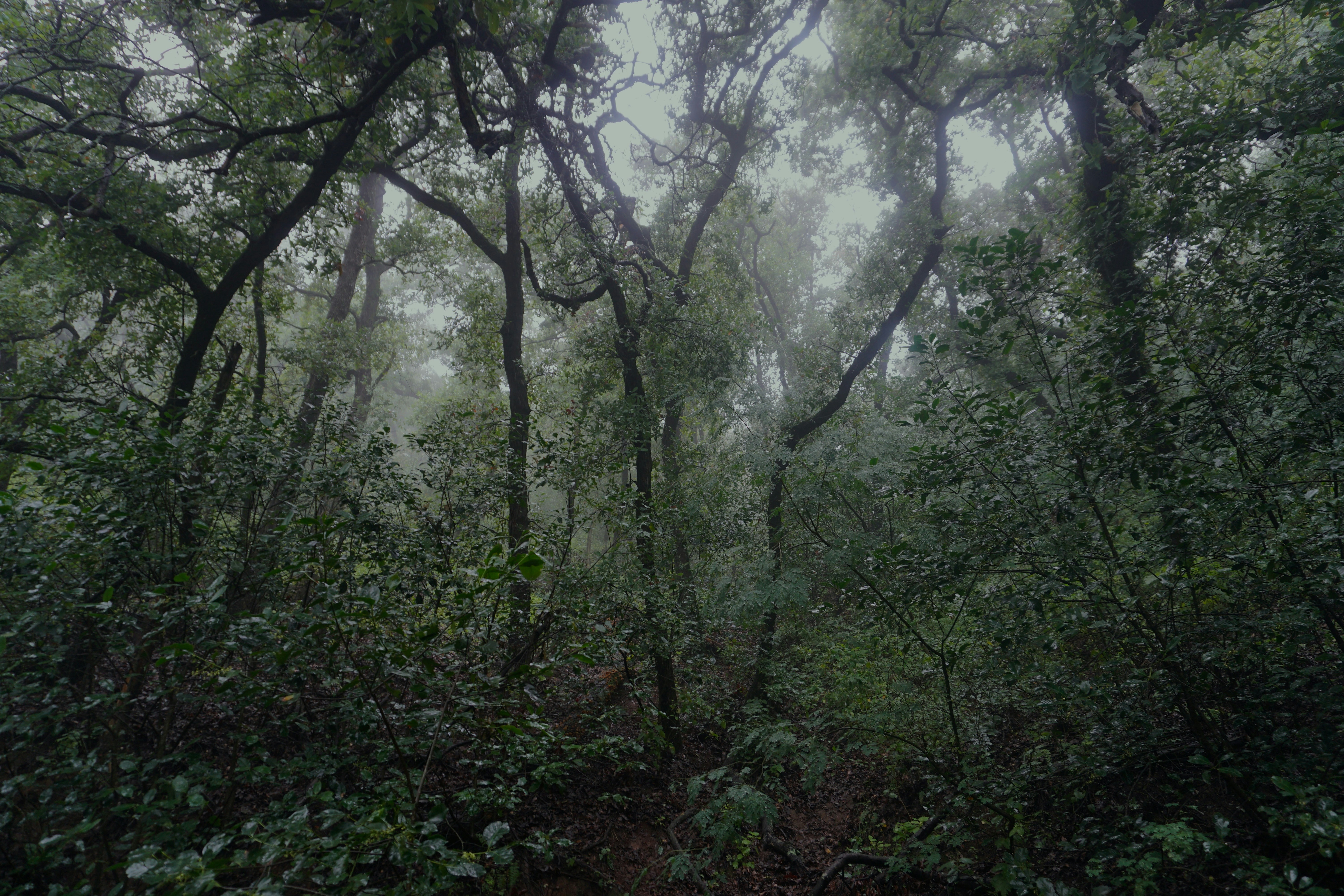 Photo by mtscasualmoments