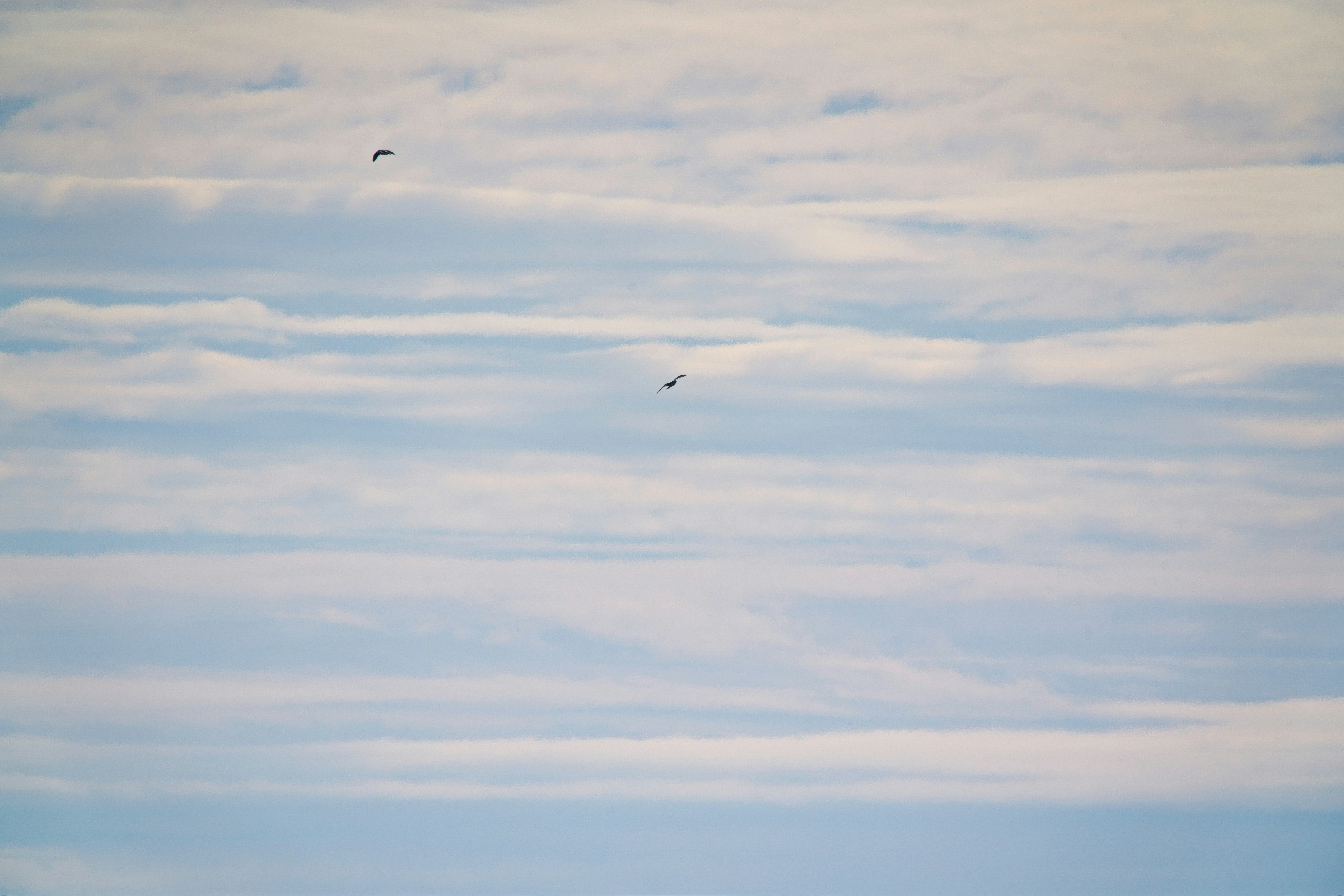 A group of people standing on top of a sandy beach