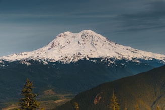 A view of a snow covered mountain with trees in the foreground