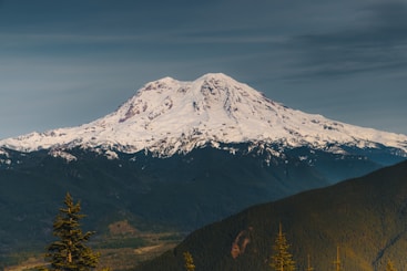 A view of a snow covered mountain with trees in the foreground