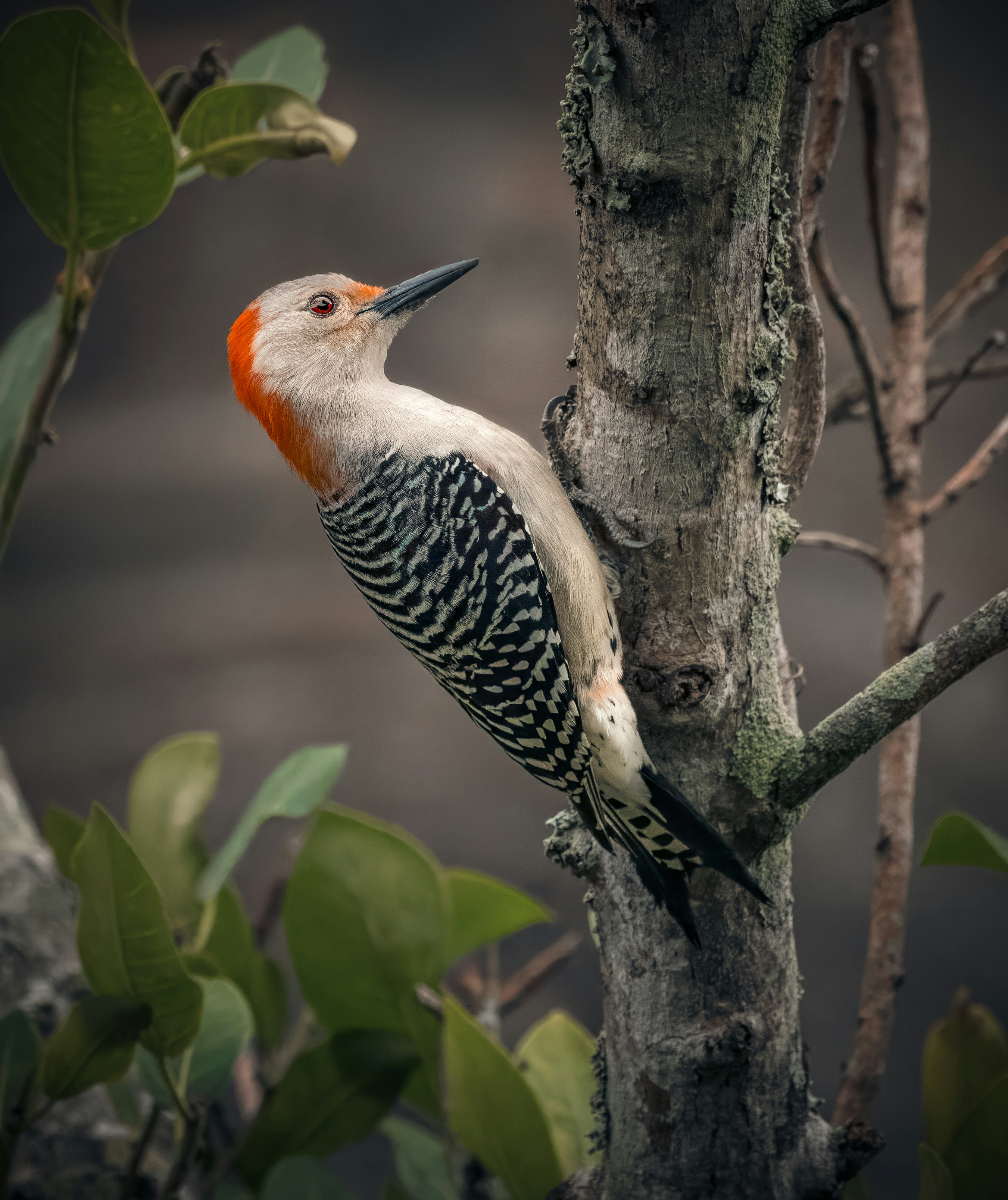 Photo by sailorgreg123