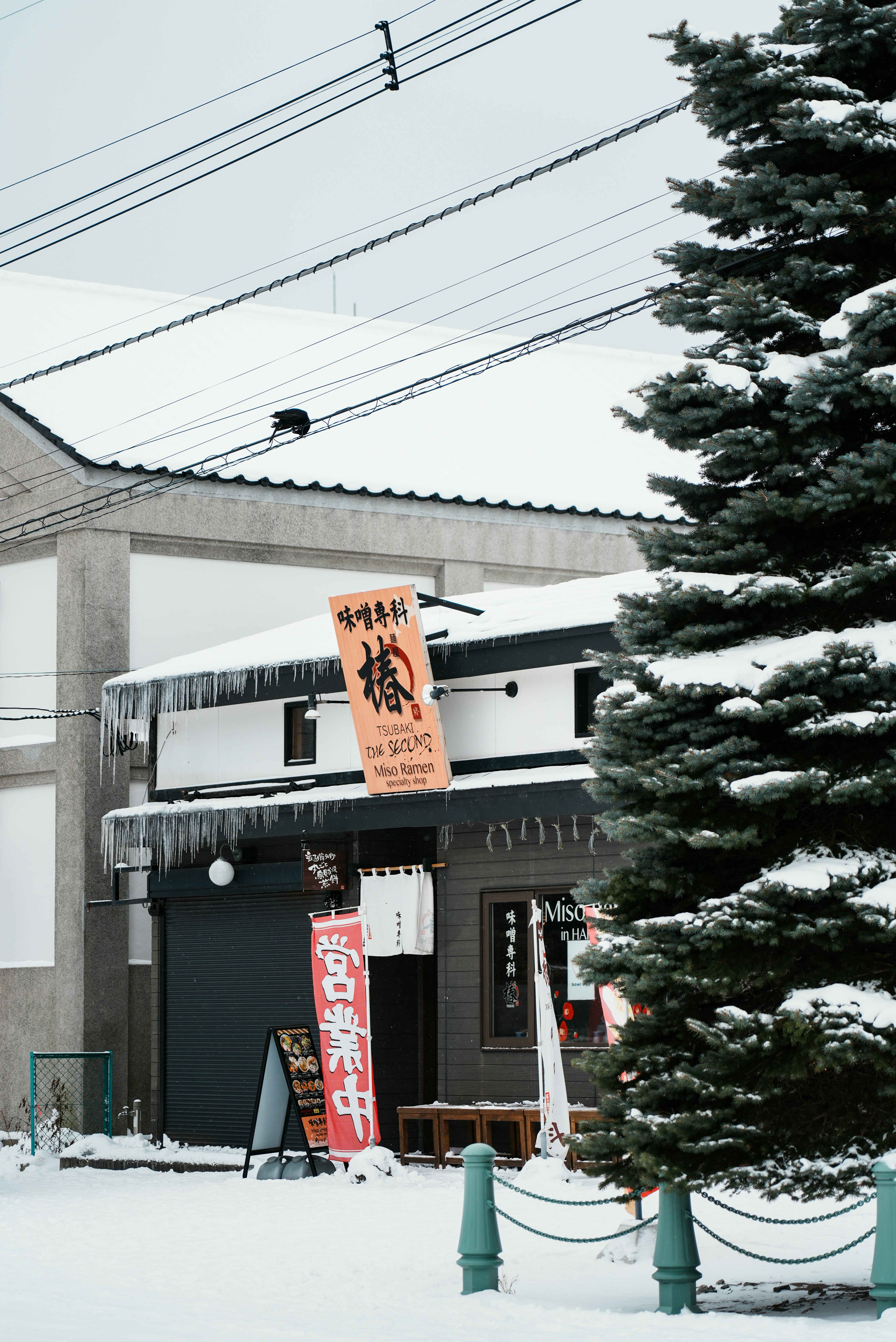 建物を背景にした雪に覆われた通り