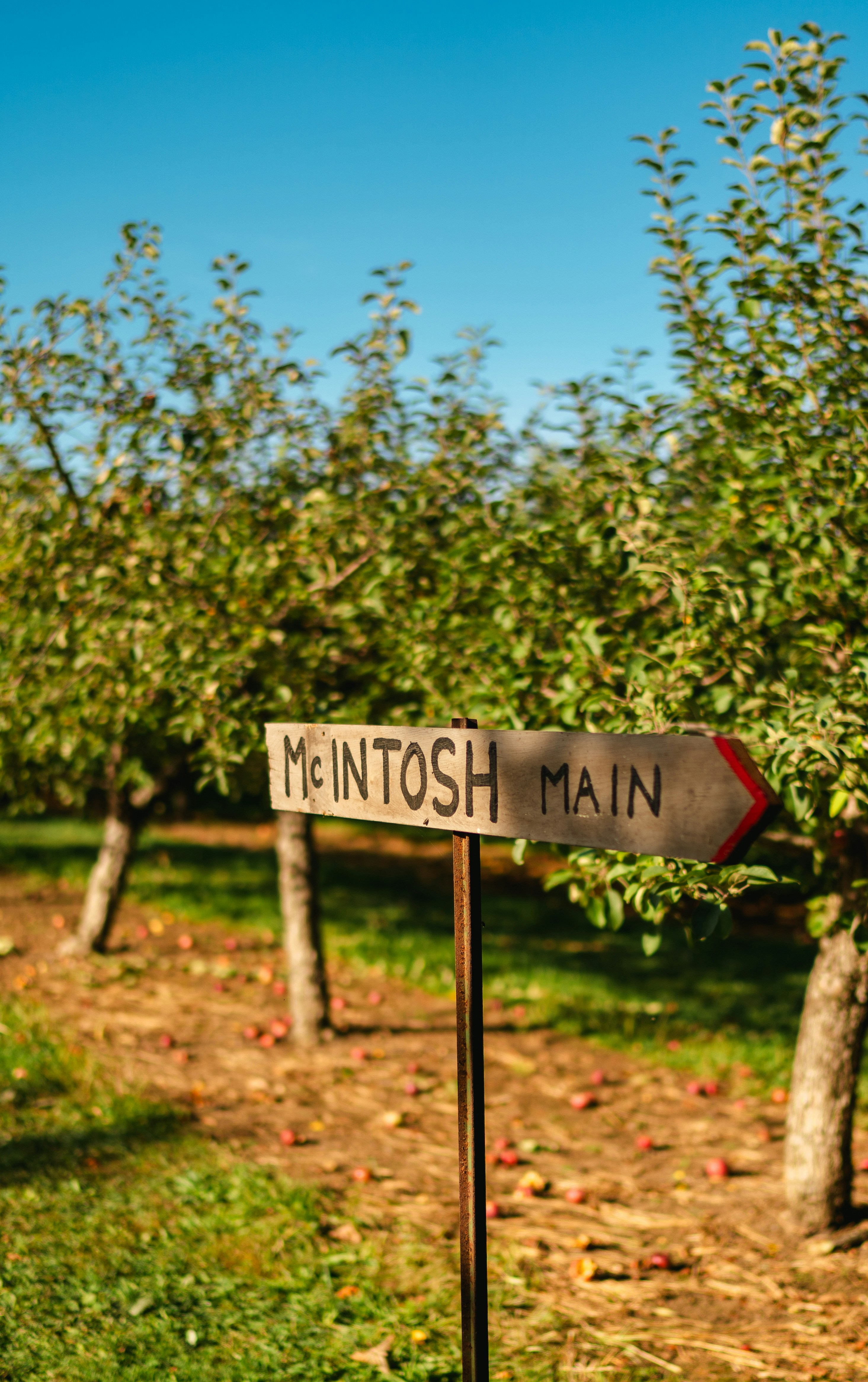 Un letrero que está en un poste en la hierba