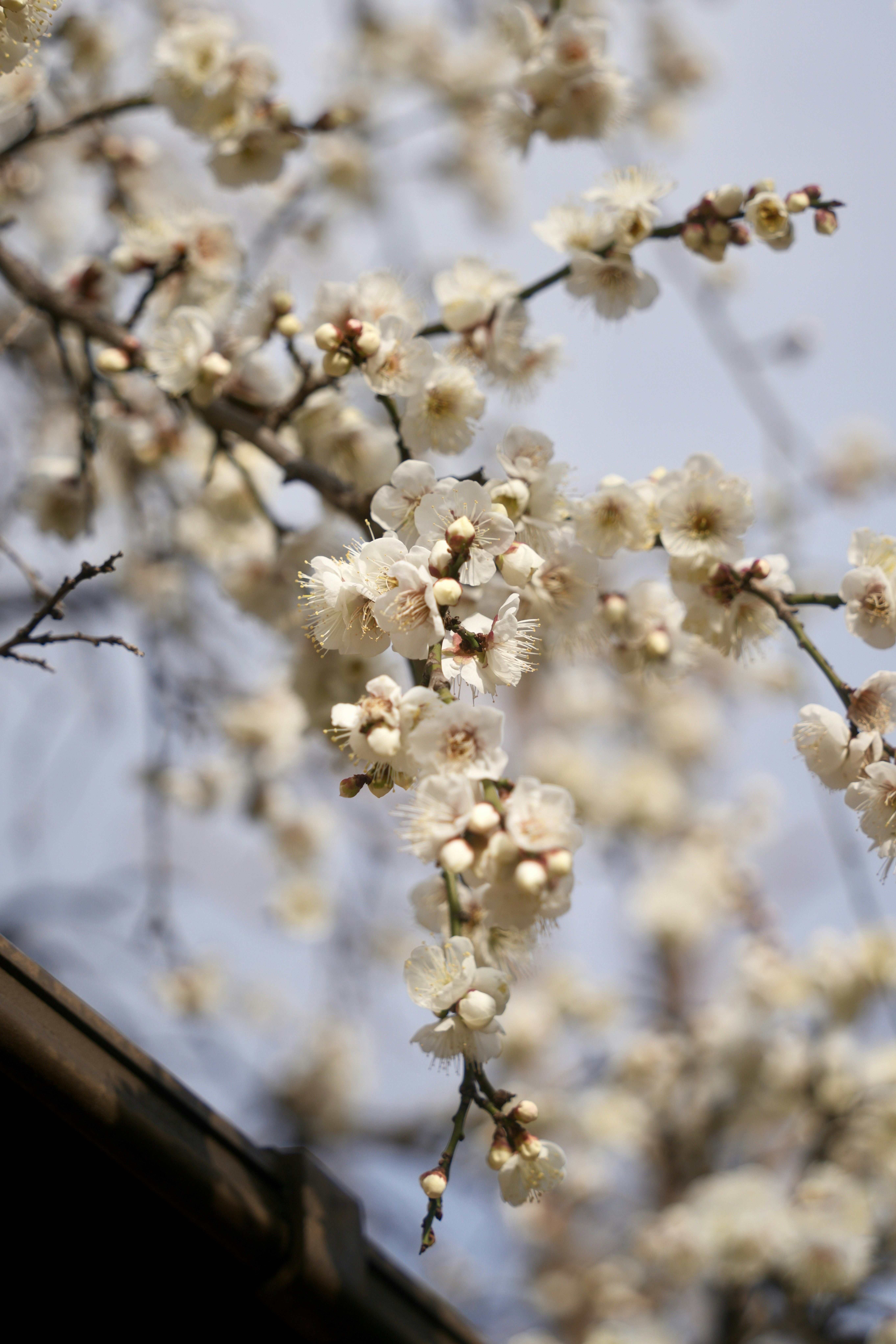 Photo by diadesigner