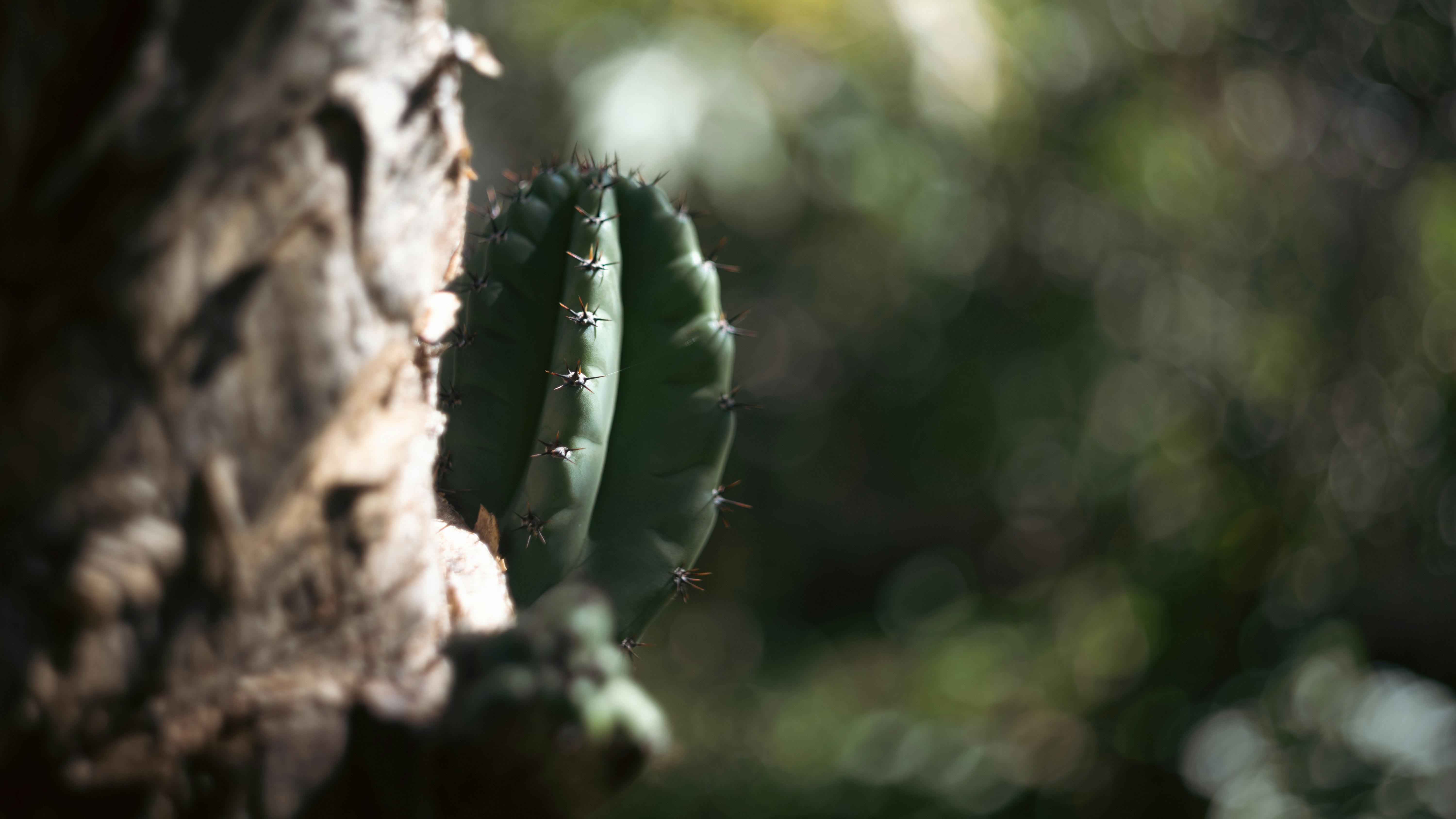 La Oaxaquena Taqueria Menu