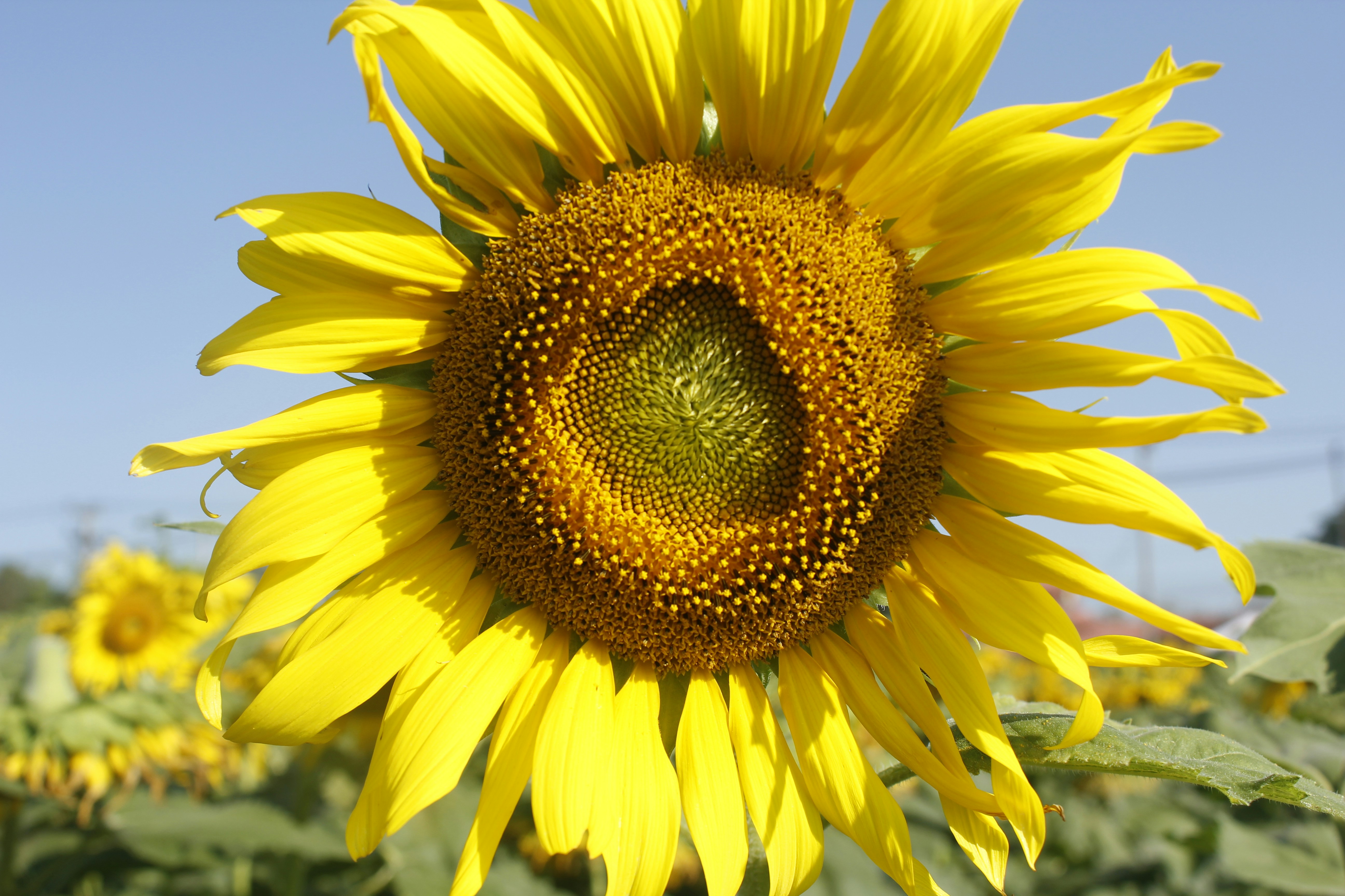 Photo by wanasanan_phonnuan