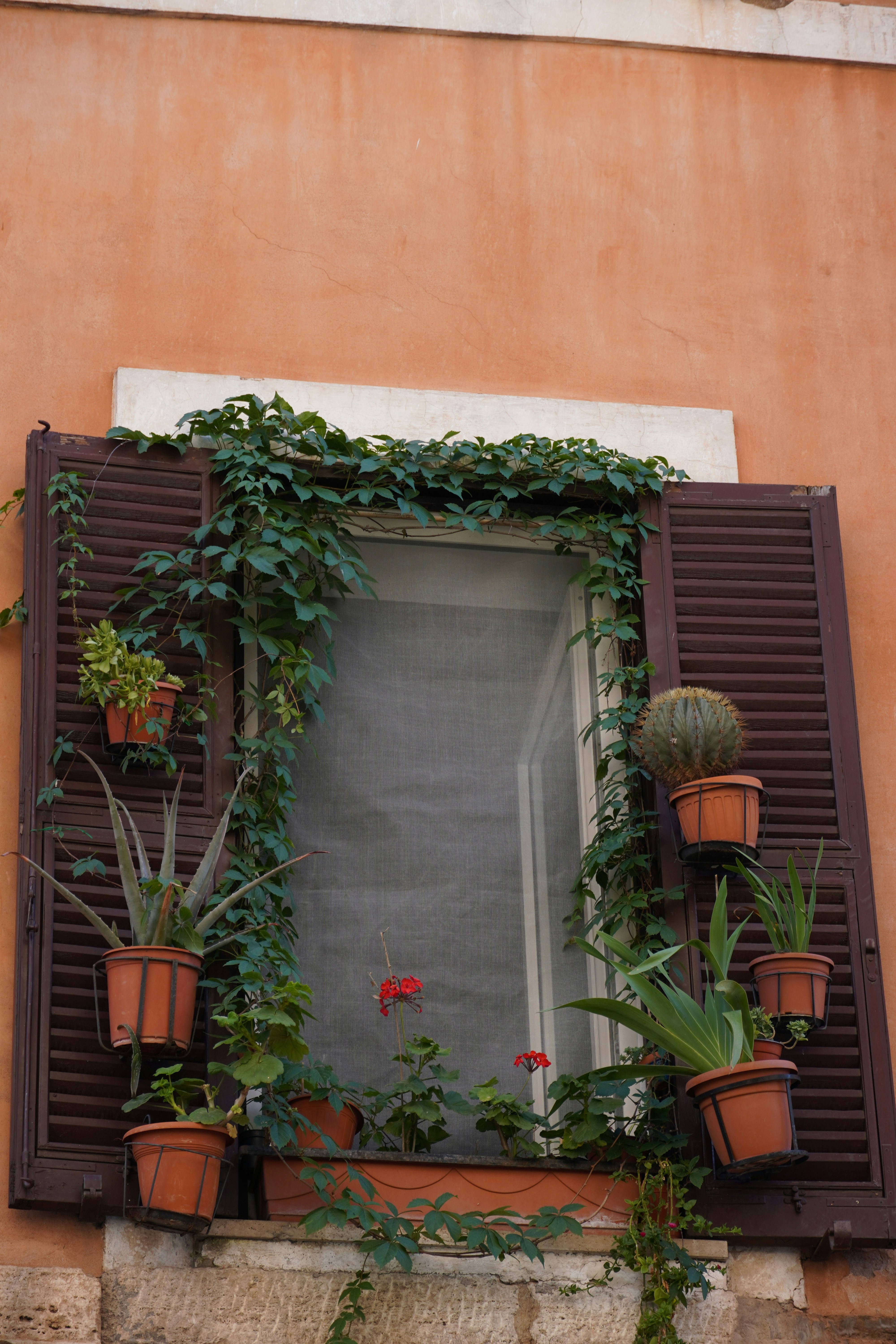 Photo by greenliustudio