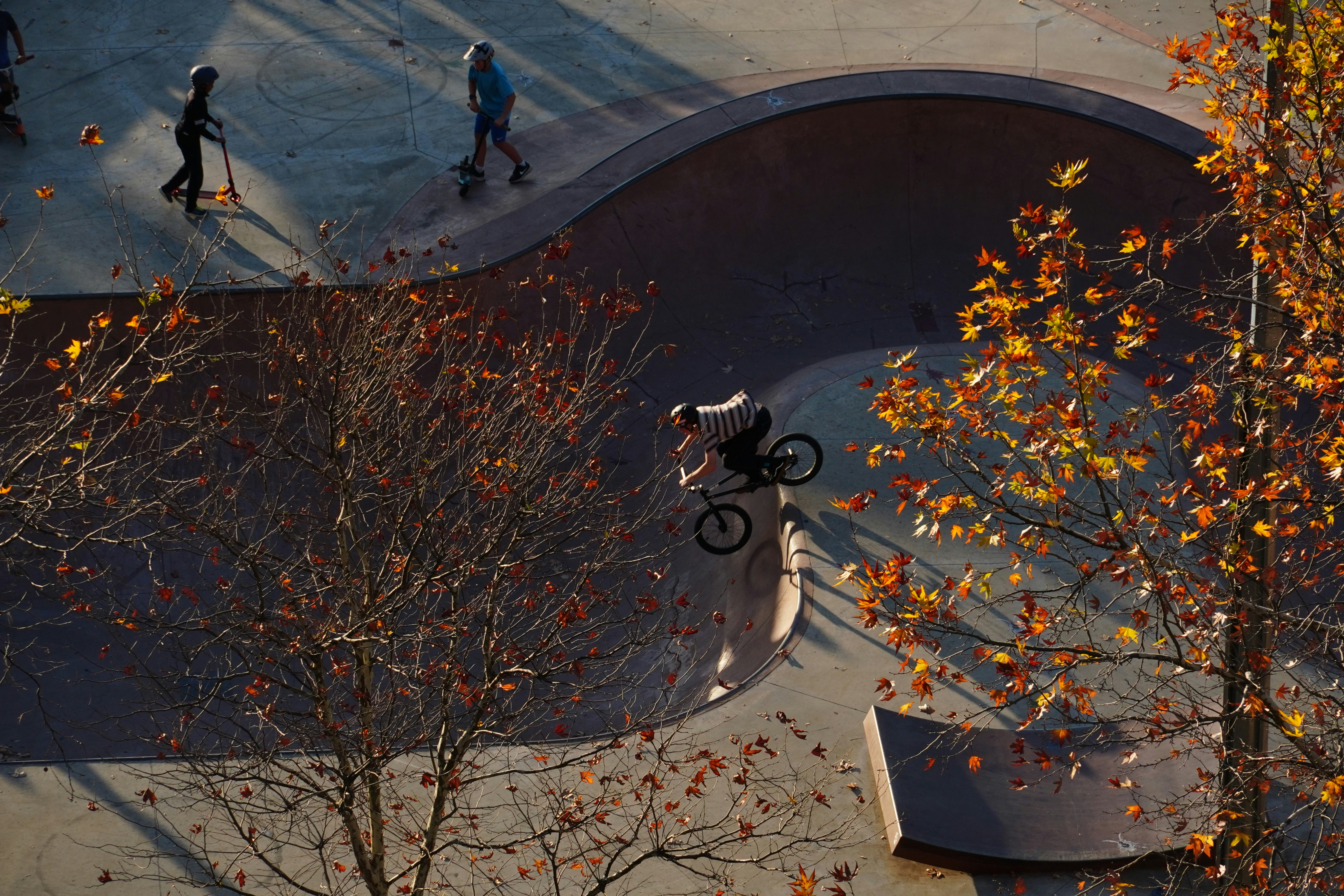 Skatepark in autumn