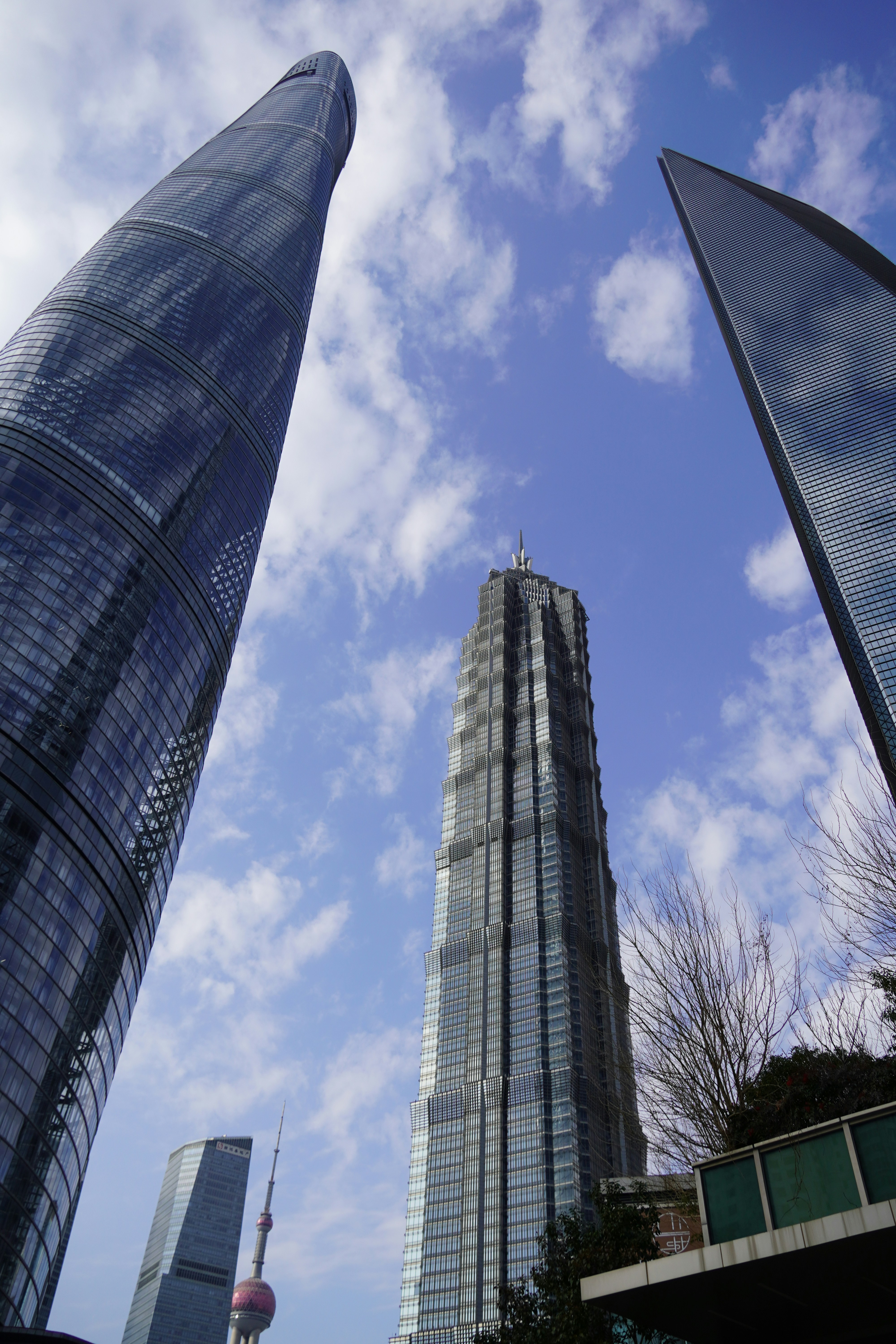 Photo by greenliustudio