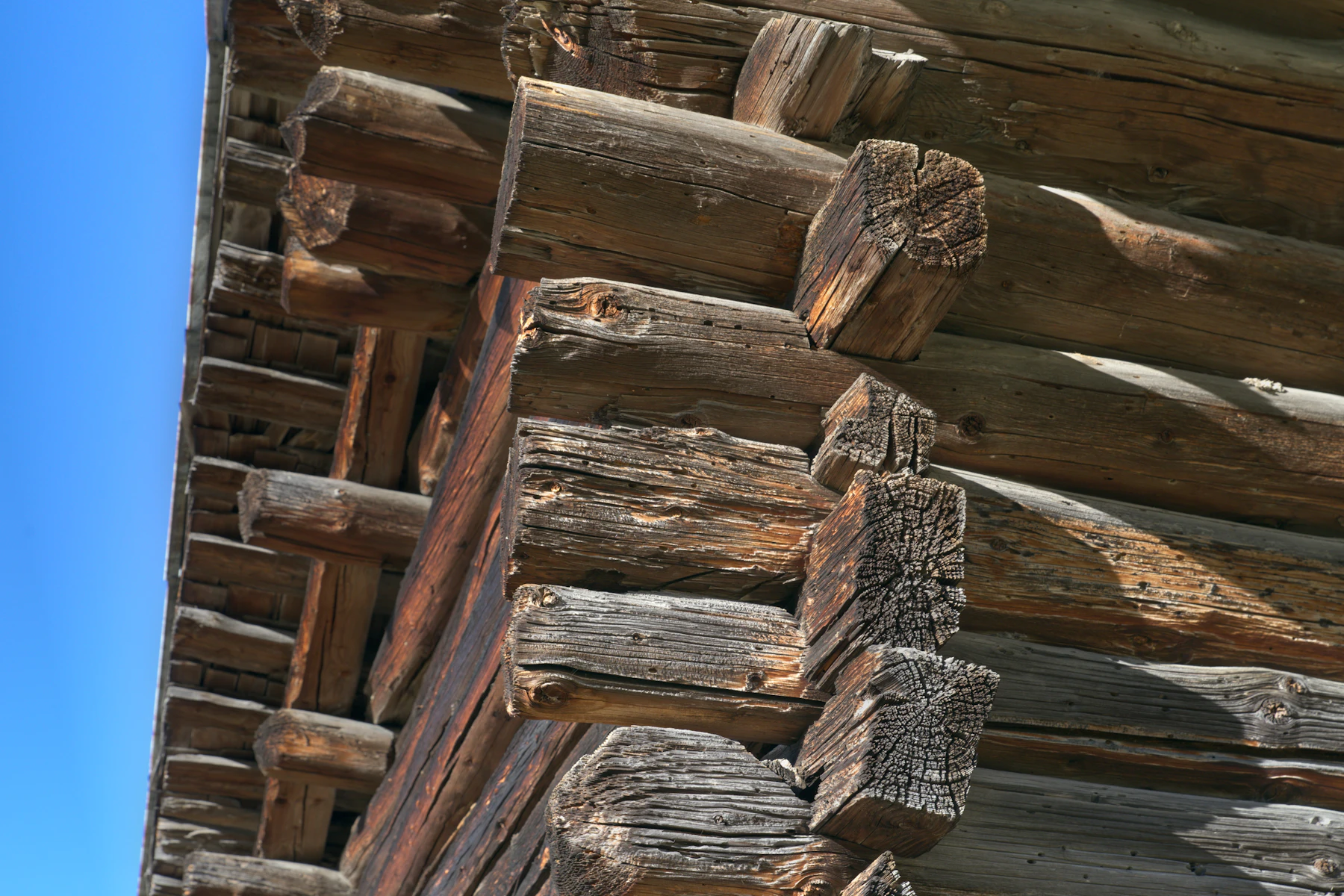 The notched corner of a round-log wall, the log ends crossing each other, seen from below against a blue sky