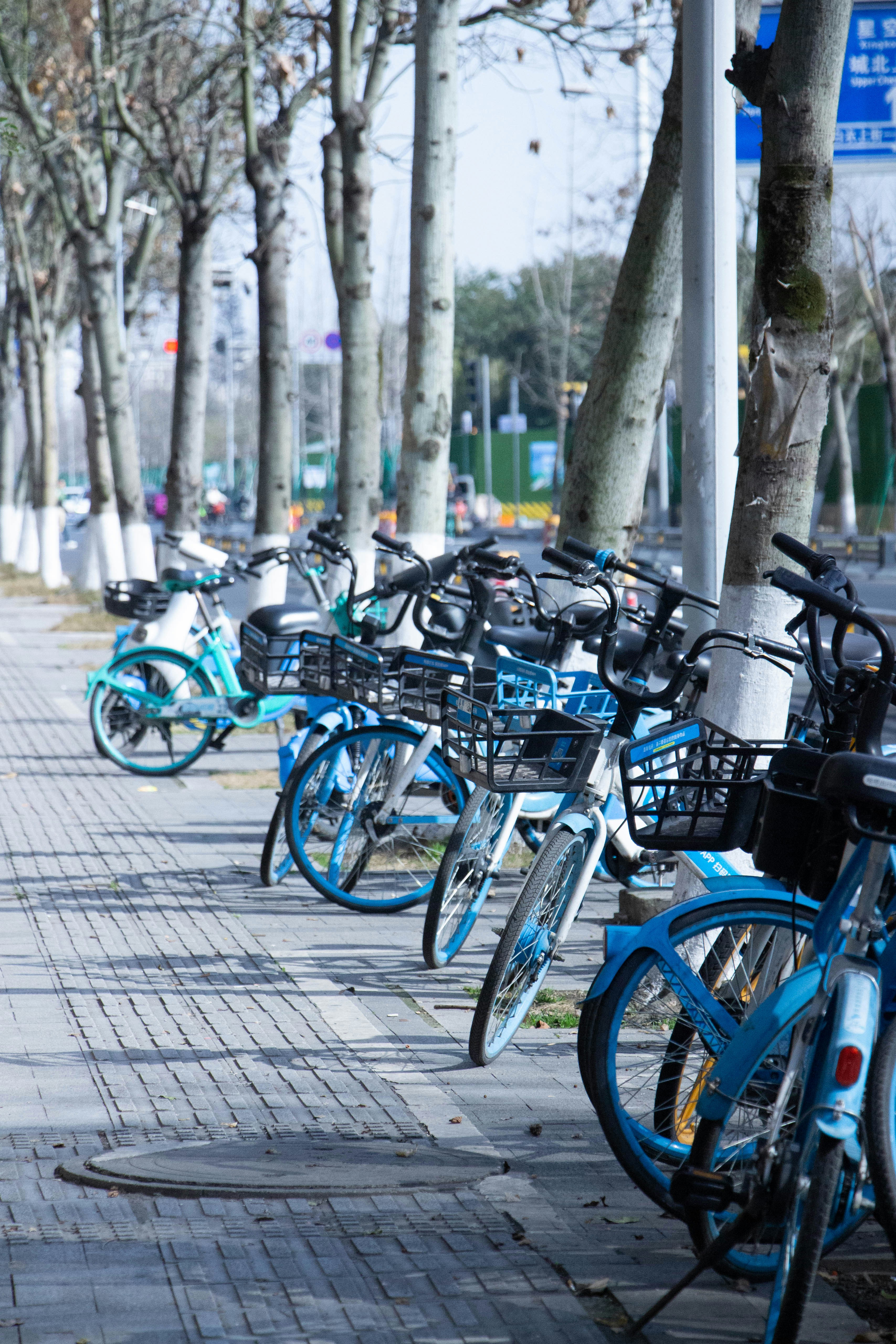 Photo by maro_of_sengu