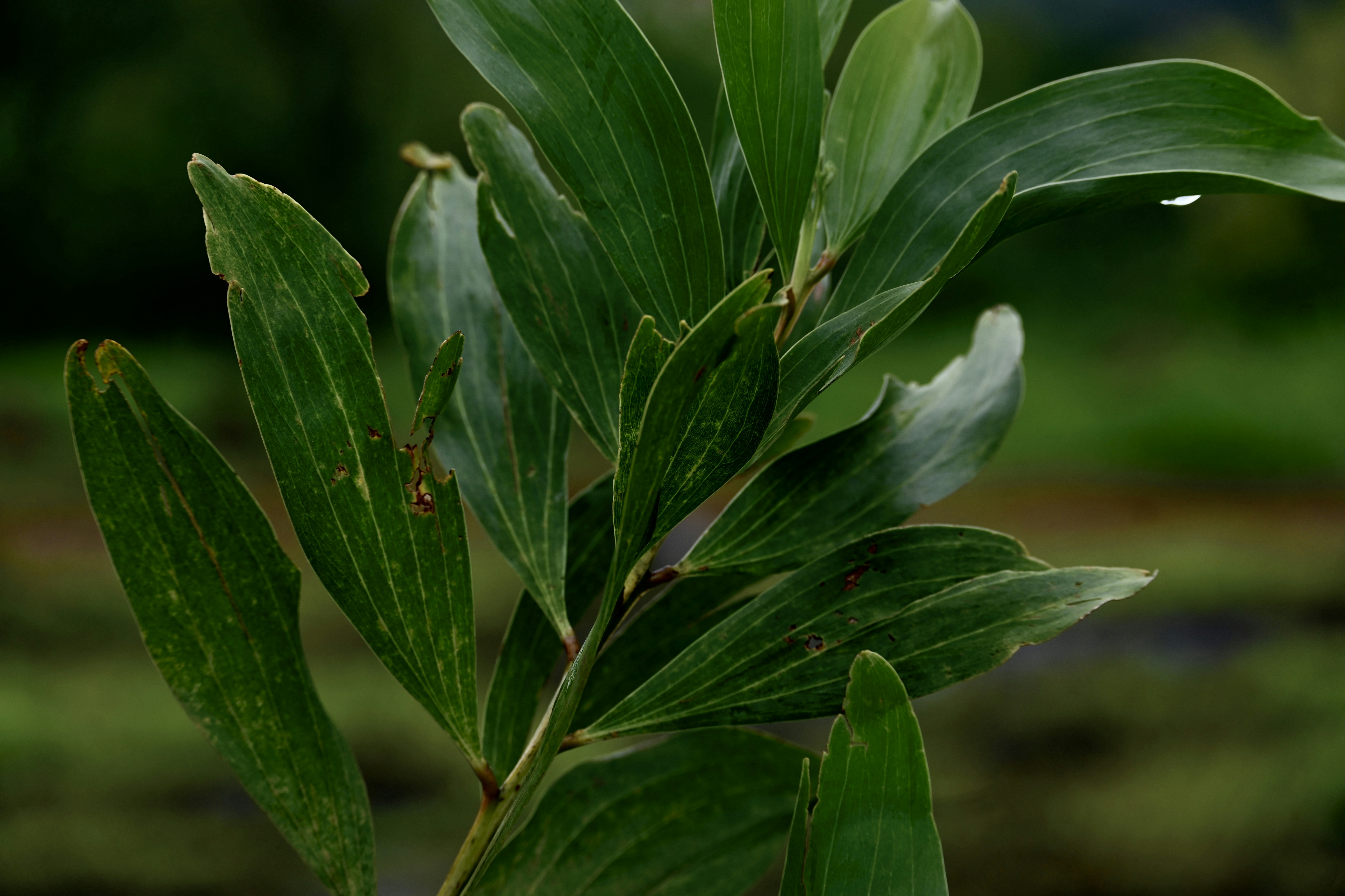 Photo by praswinprakashan